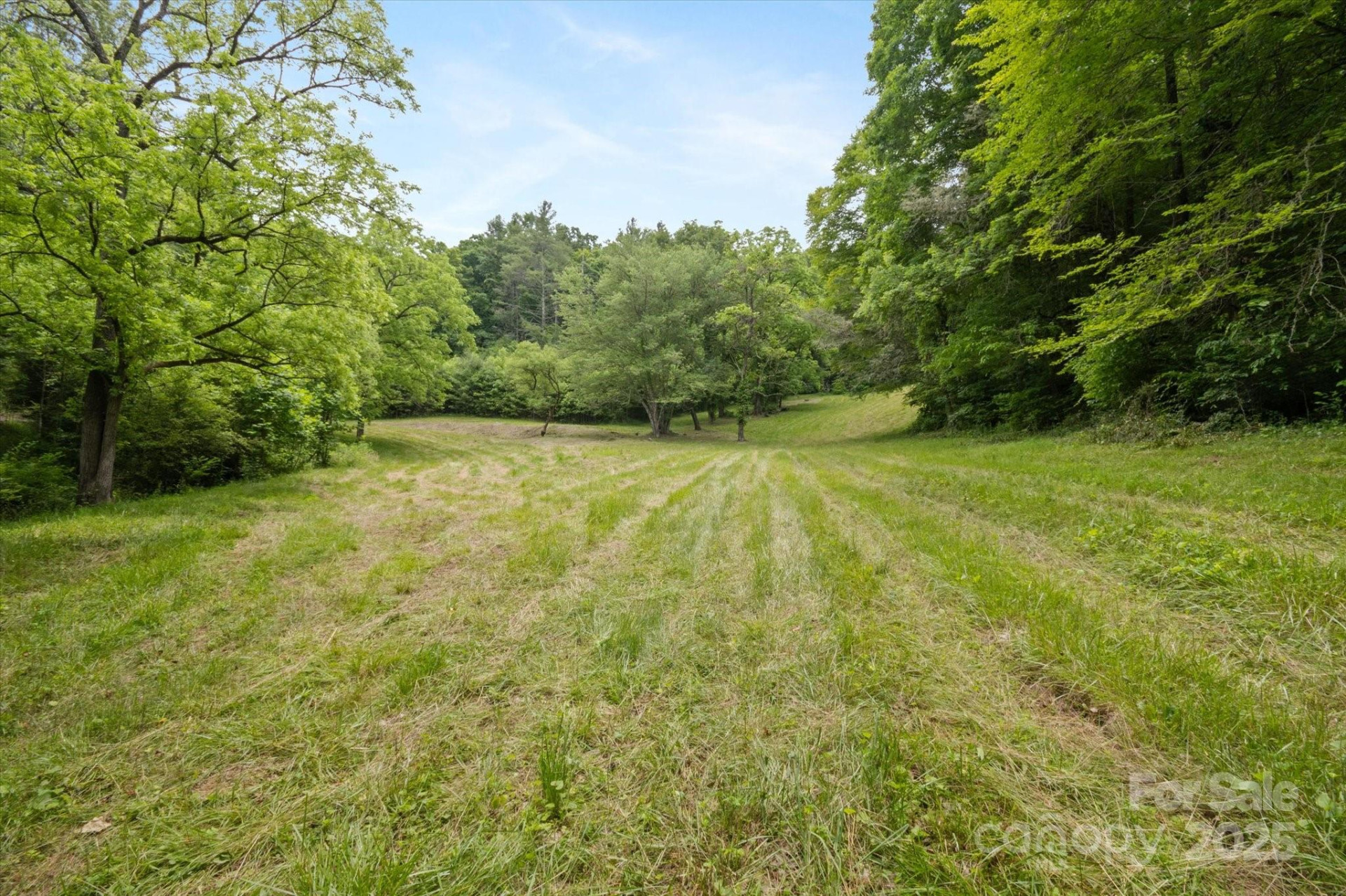 942 Paint Fork Road - Photo 6