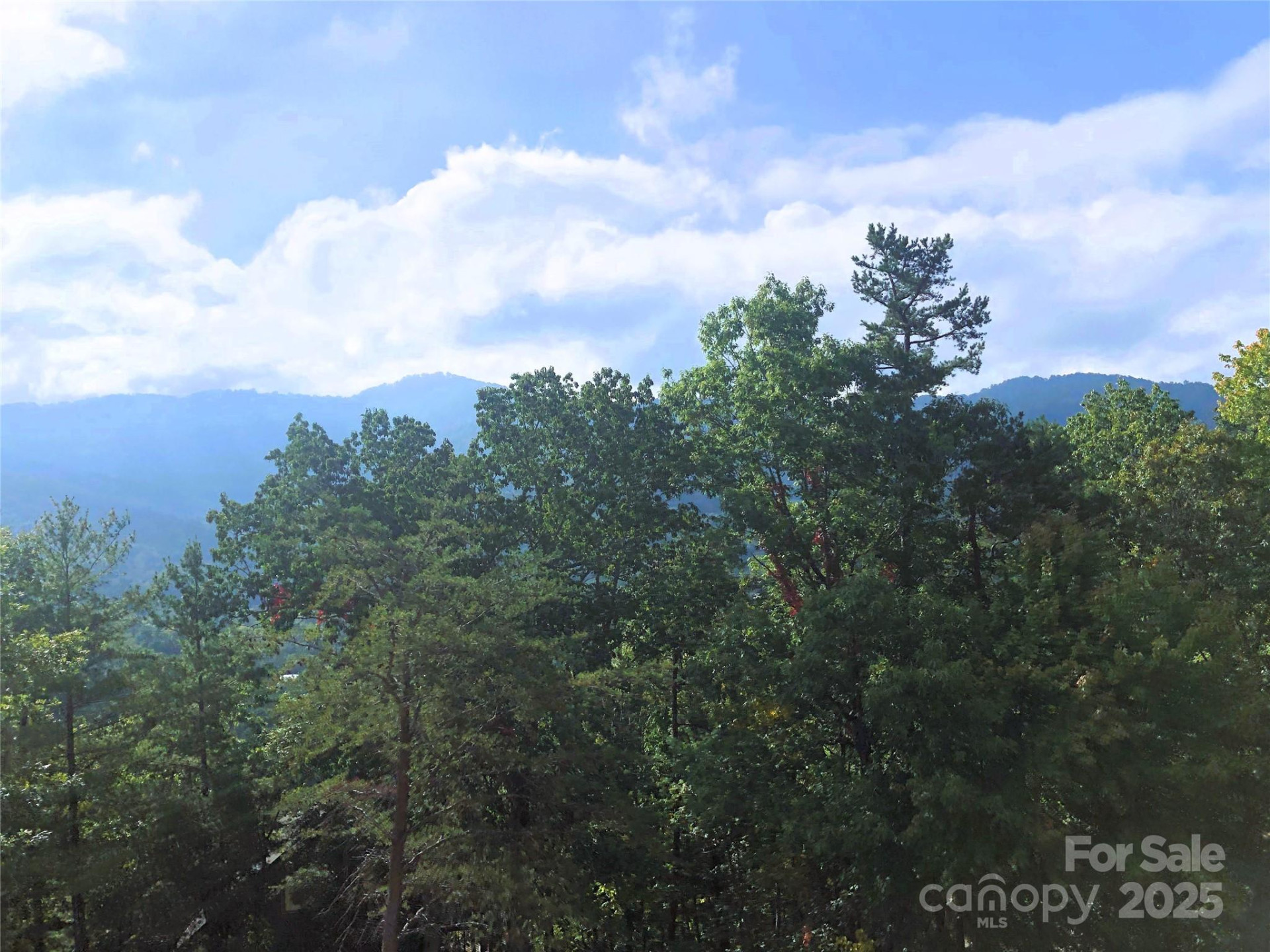 145 Black Oak Drive - Photo 11