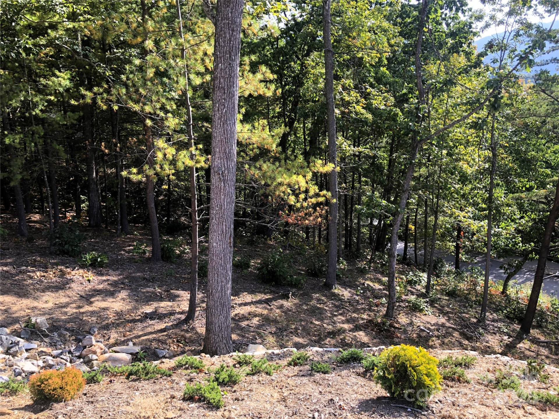 145 Black Oak Drive - Photo 9