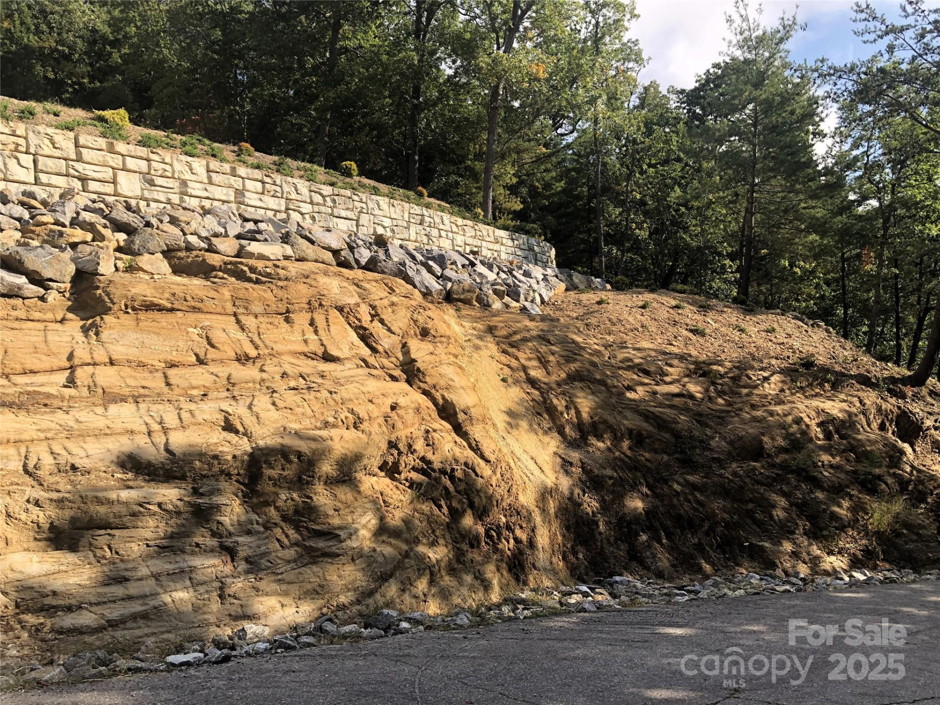 145 Black Oak Drive - Photo 10