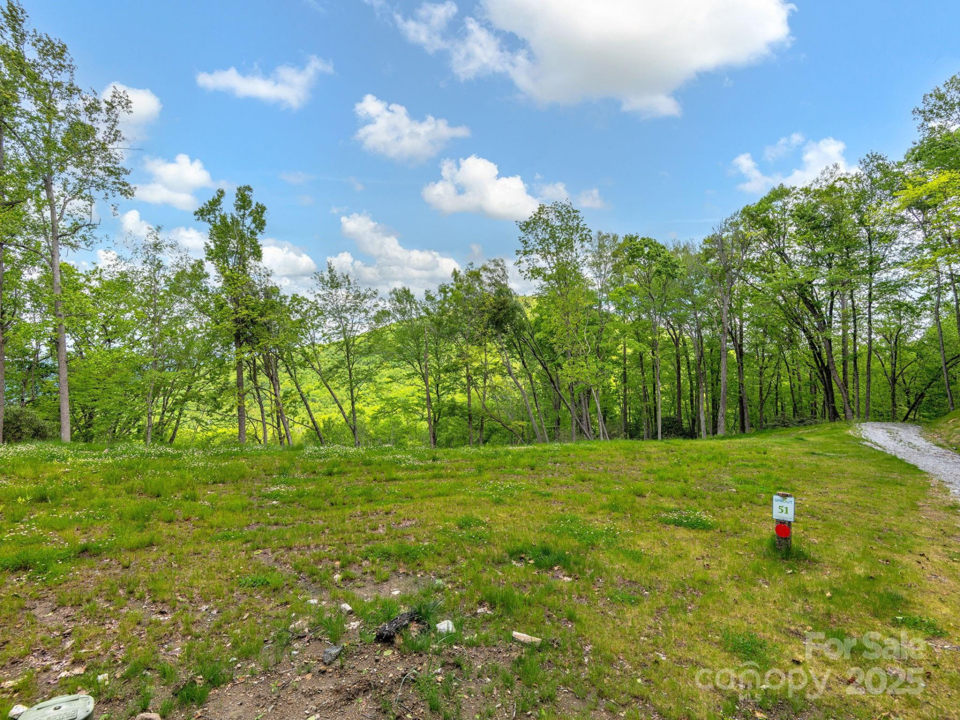 000 Hemlock Grove Trail #51 - Photo 2