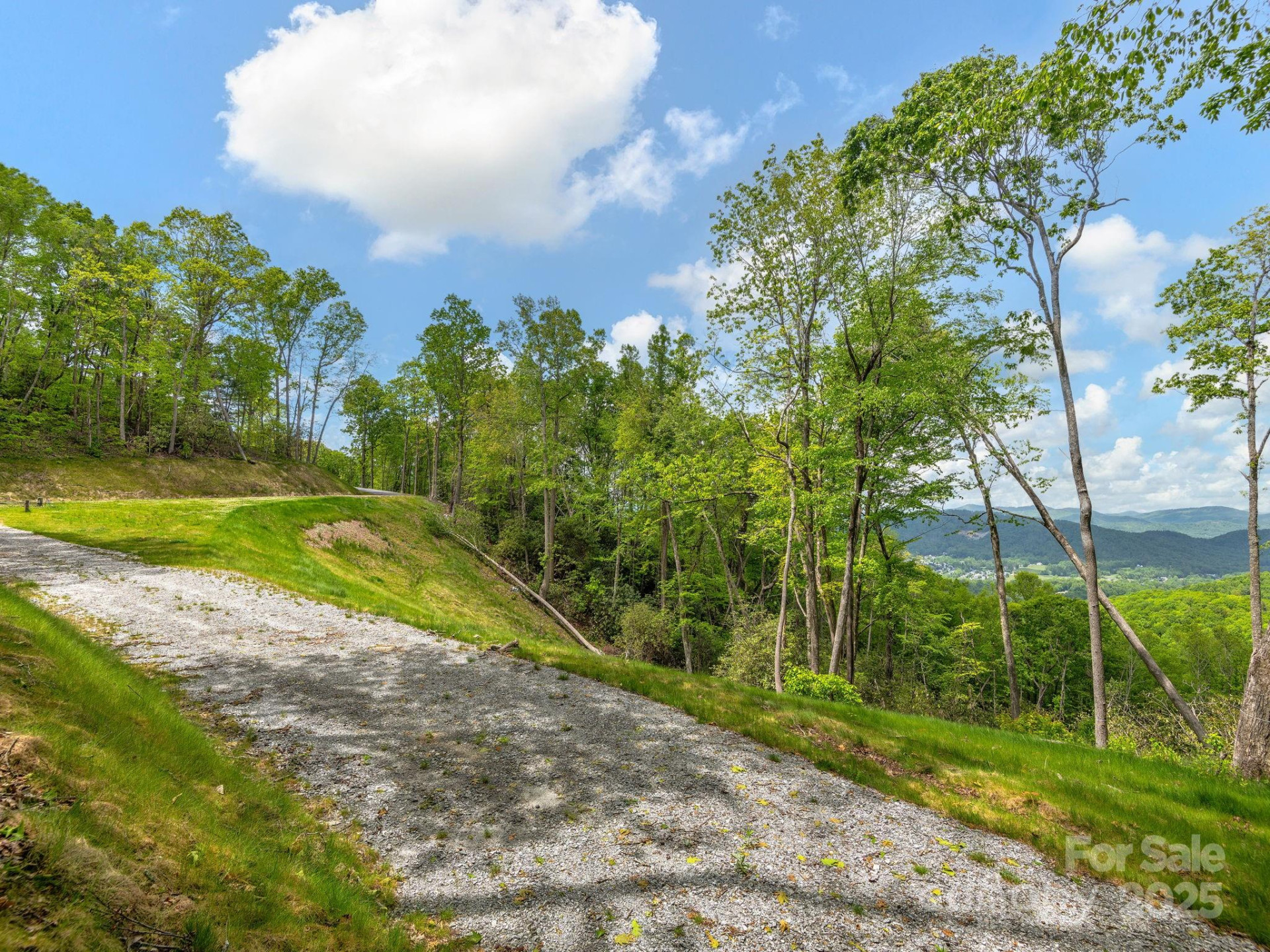 000 Hemlock Grove Trail #51 - Photo 3