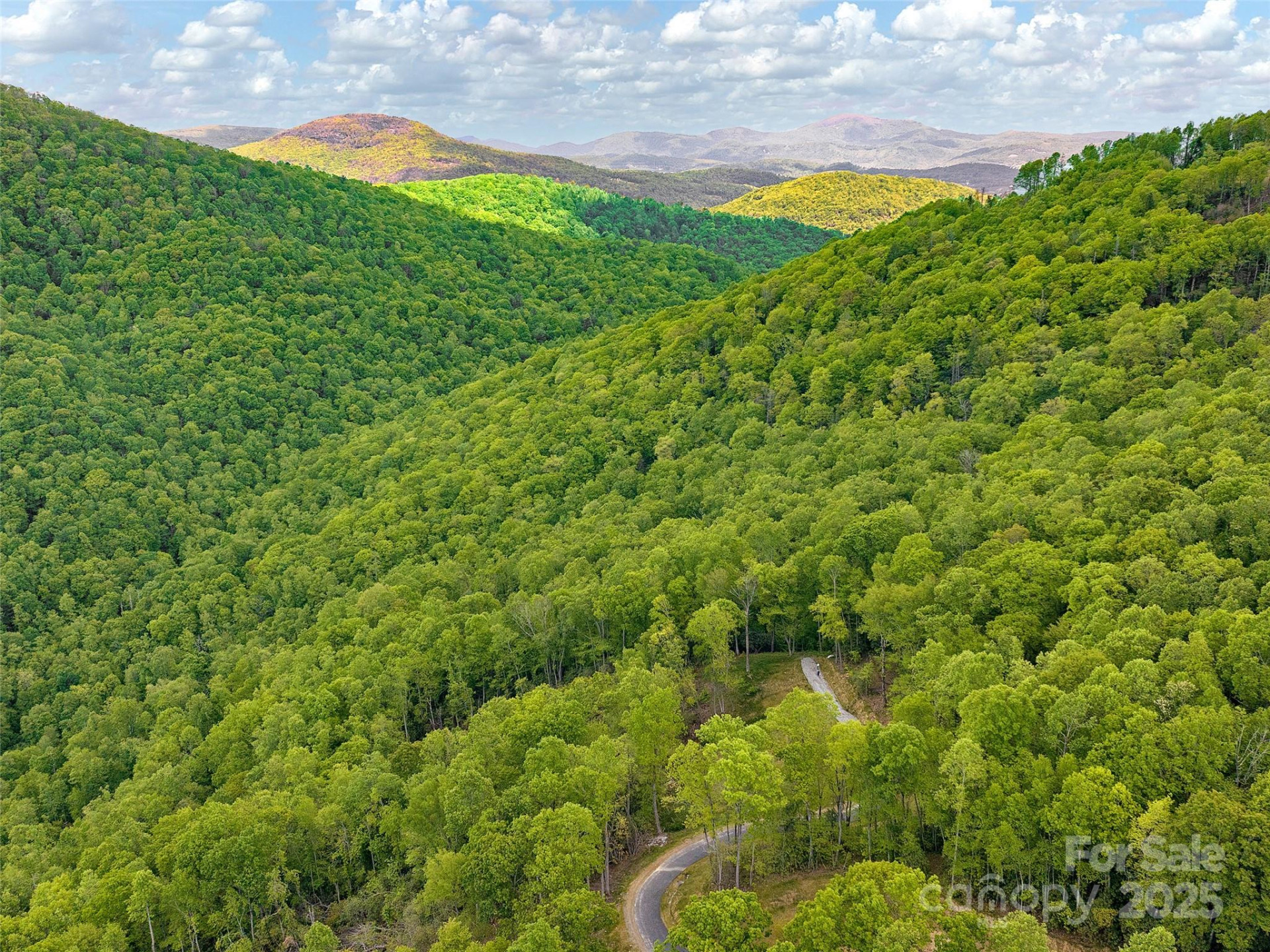 000 Hemlock Grove Trail #51 - Photo 4