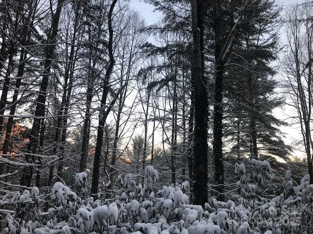 278 Mount View Drive - Photo 44