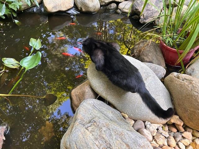 278 Mount View Drive - Photo 45