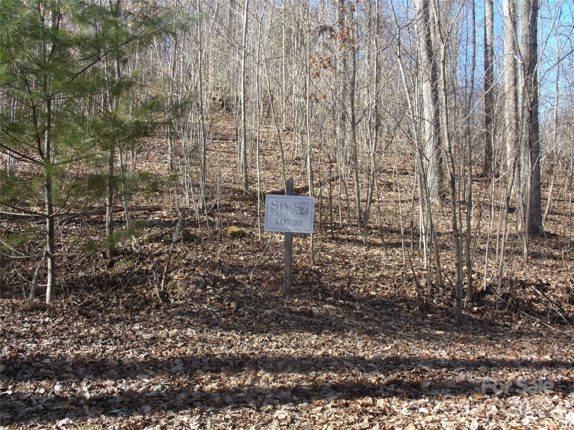 Lot 39 Sweet Spring Trail #39 - Photo 2