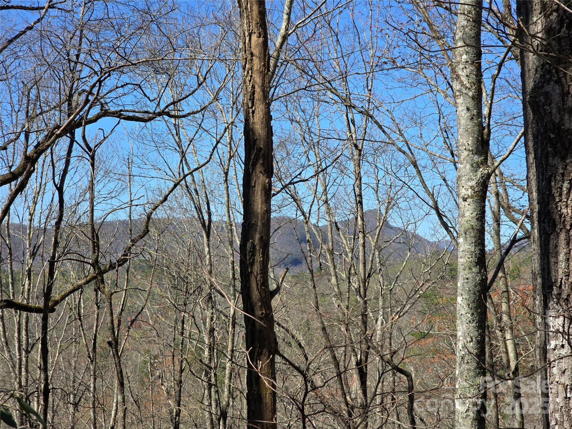 Lot 39 Sweet Spring Trail #39 - Photo 3