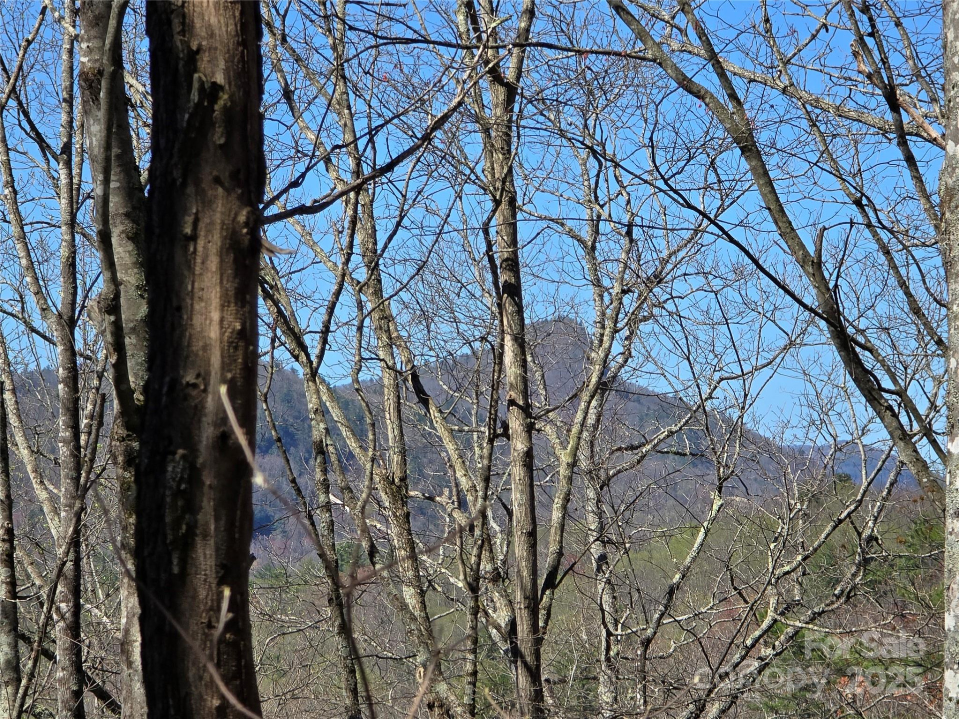 Lot 39 Sweet Spring Trail #39 - Photo 4