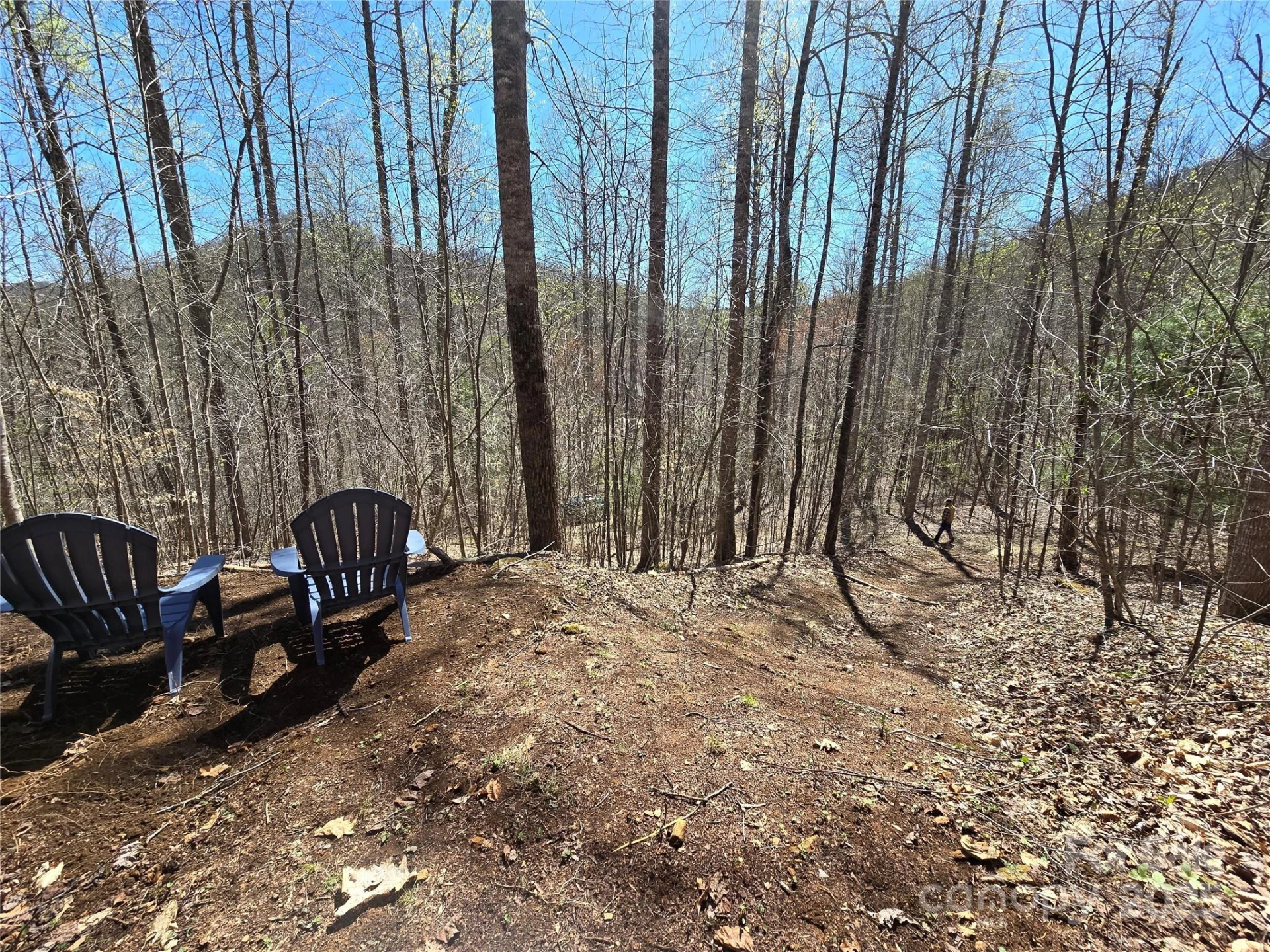 Lot 39 Sweet Spring Trail #39 - Photo 5