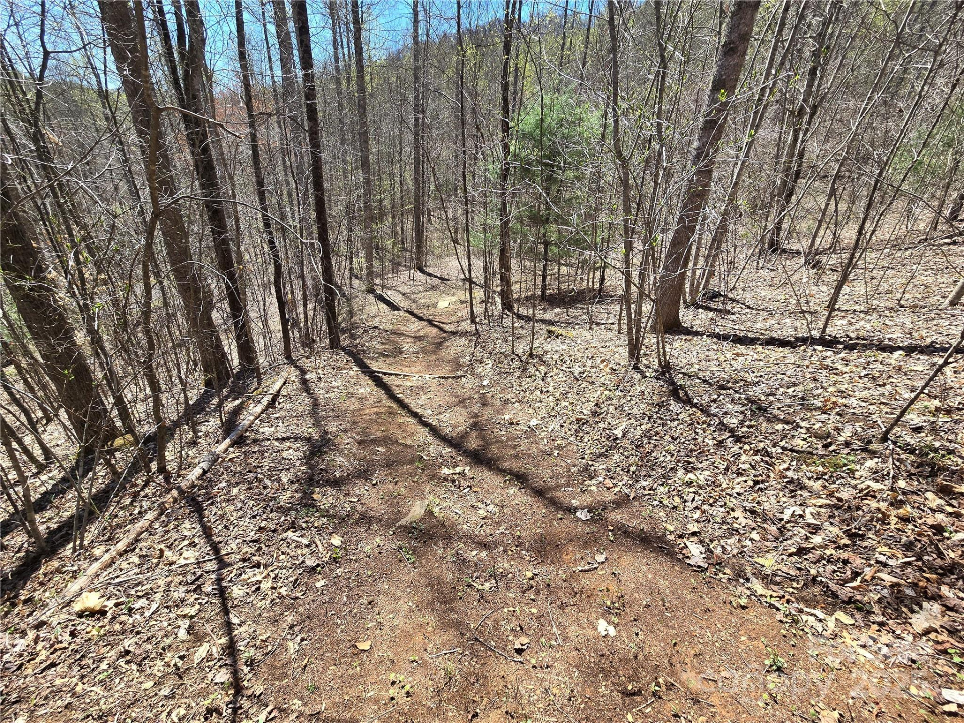Lot 39 Sweet Spring Trail #39 - Photo 6