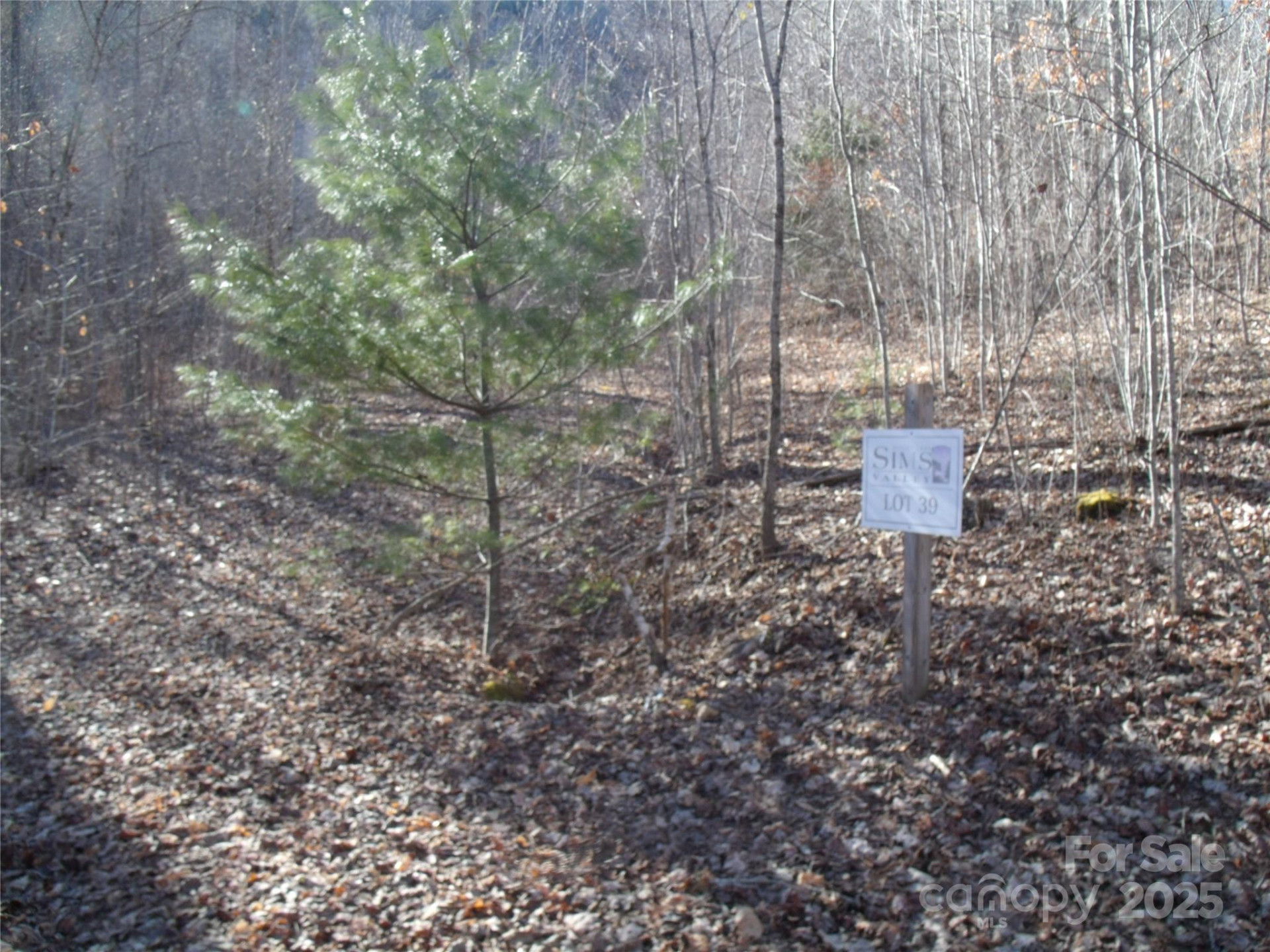 Lot 39 Sweet Spring Trail #39 - Photo 7