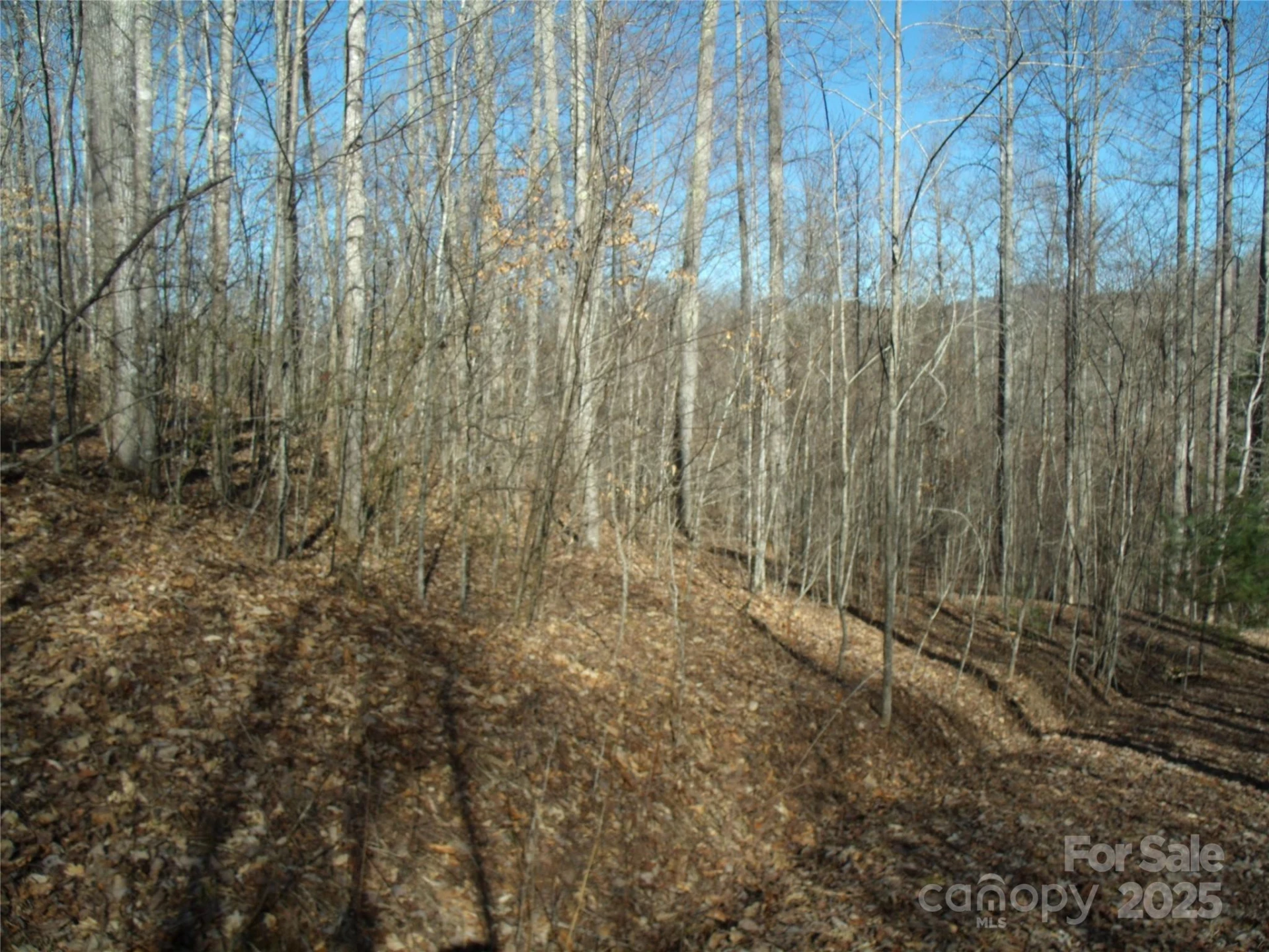 Lot 39 Sweet Spring Trail #39 - Photo 8