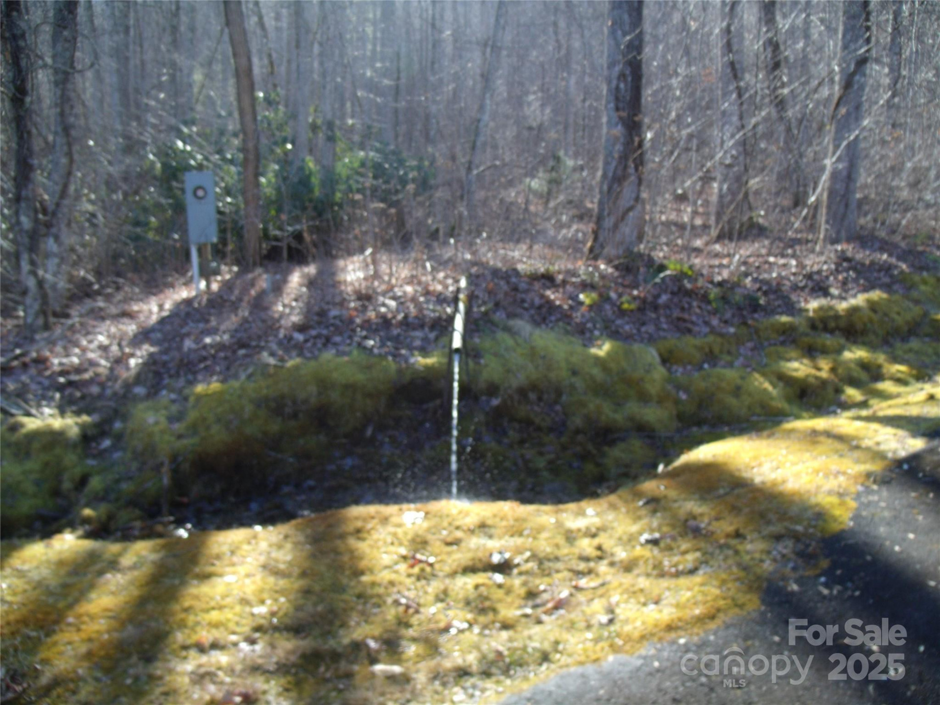 Lot 39 Sweet Spring Trail #39 - Photo 9