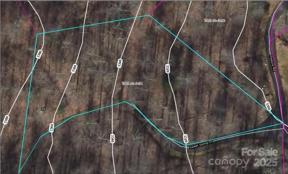 Lot 39 Sweet Spring Trail #39 - Photo 10