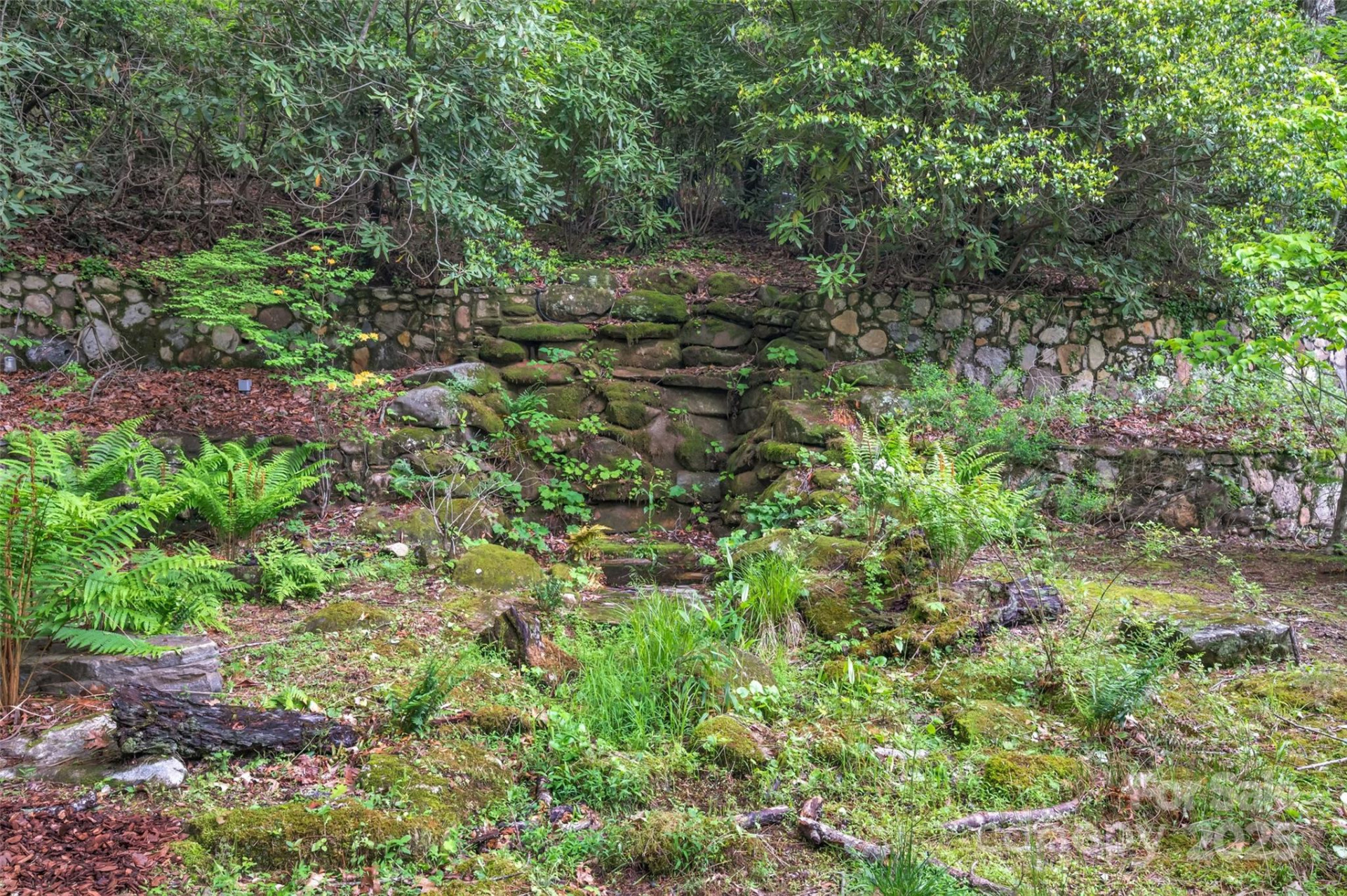 1923 Cold Mountain Road - Photo 3