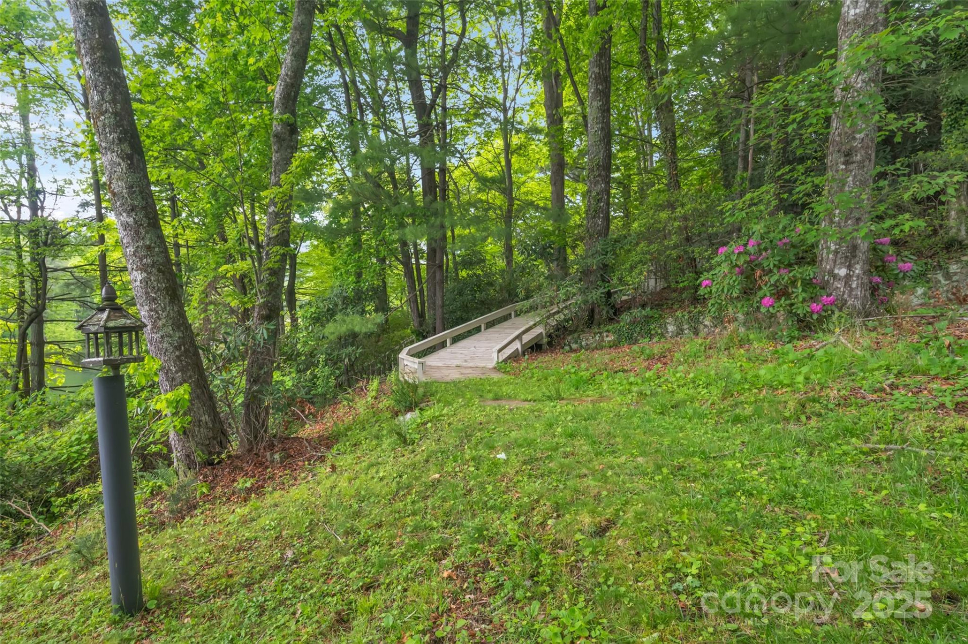 1923 Cold Mountain Road - Photo 5