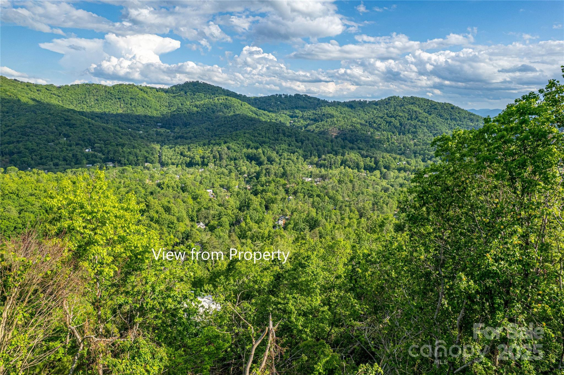 99999 Black Oak Drive #13 - Photo 9