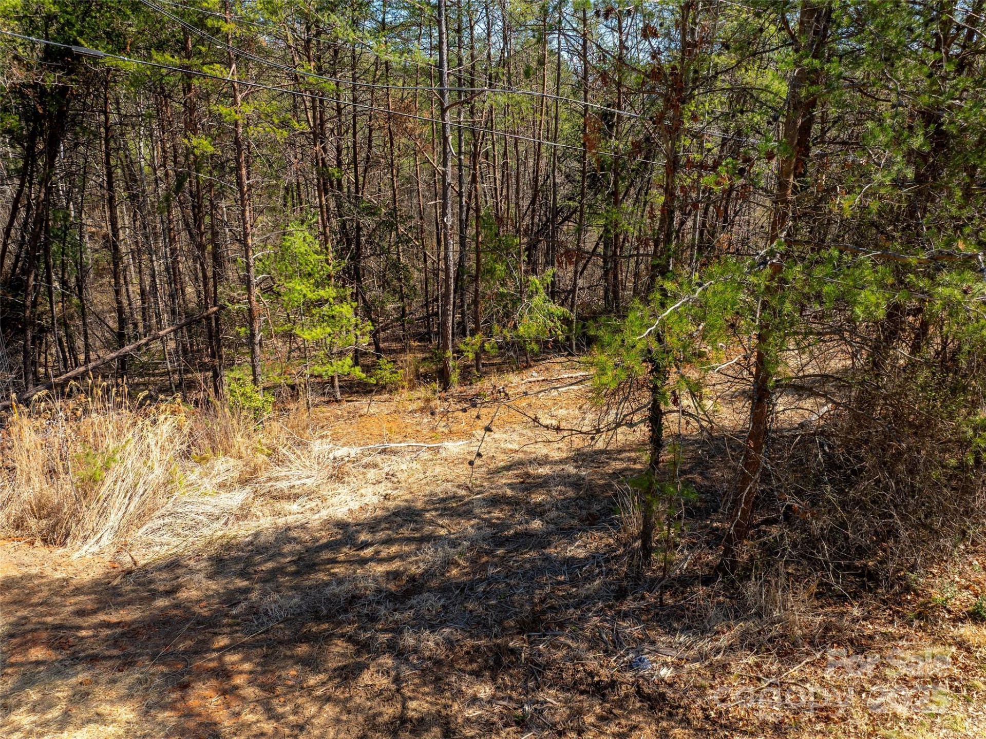 85 Union Chapel Road - Photo 18