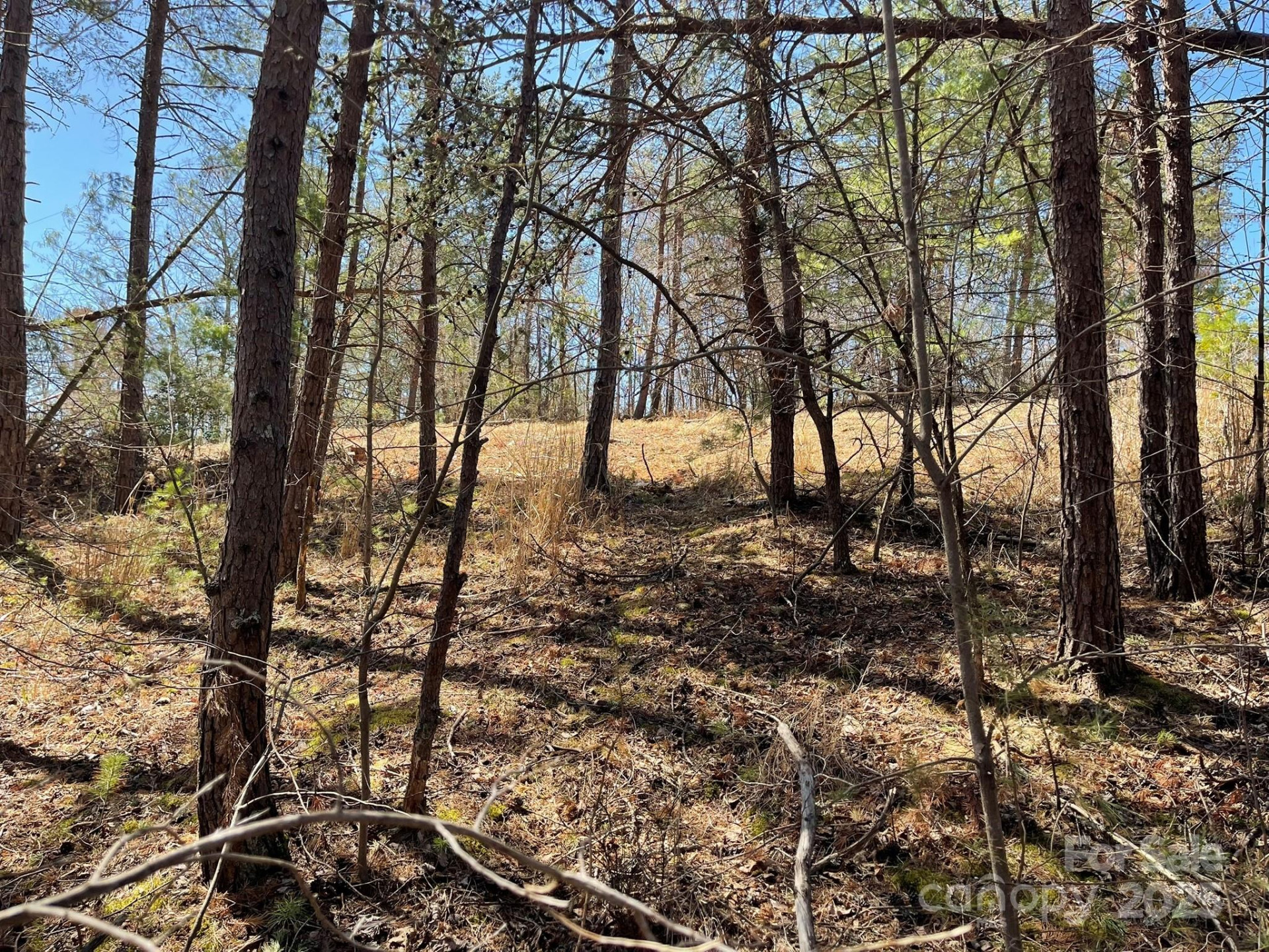 85 Union Chapel Road - Photo 22