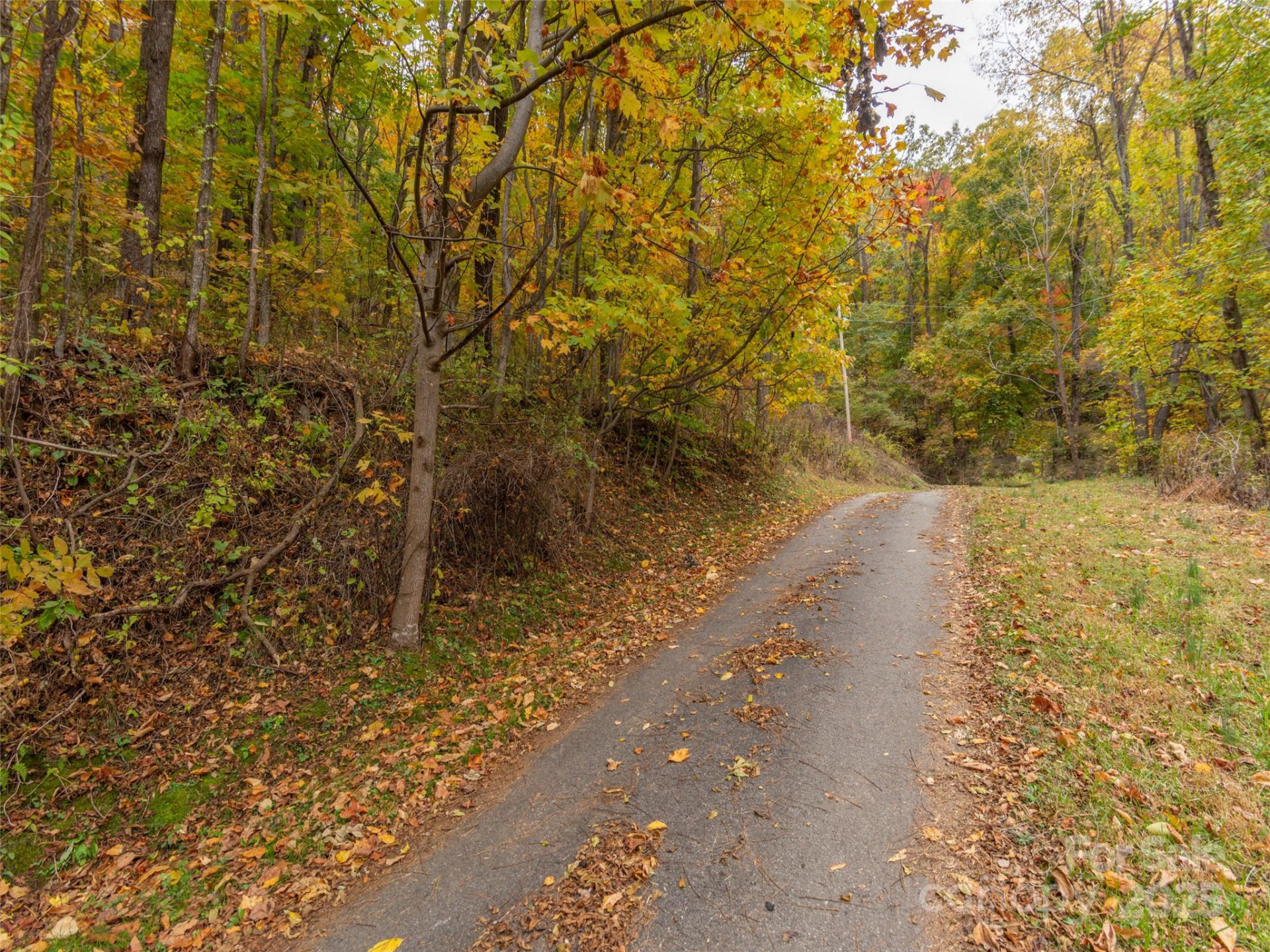 000 Sleepy Hollow Lane #14 - Photo 2