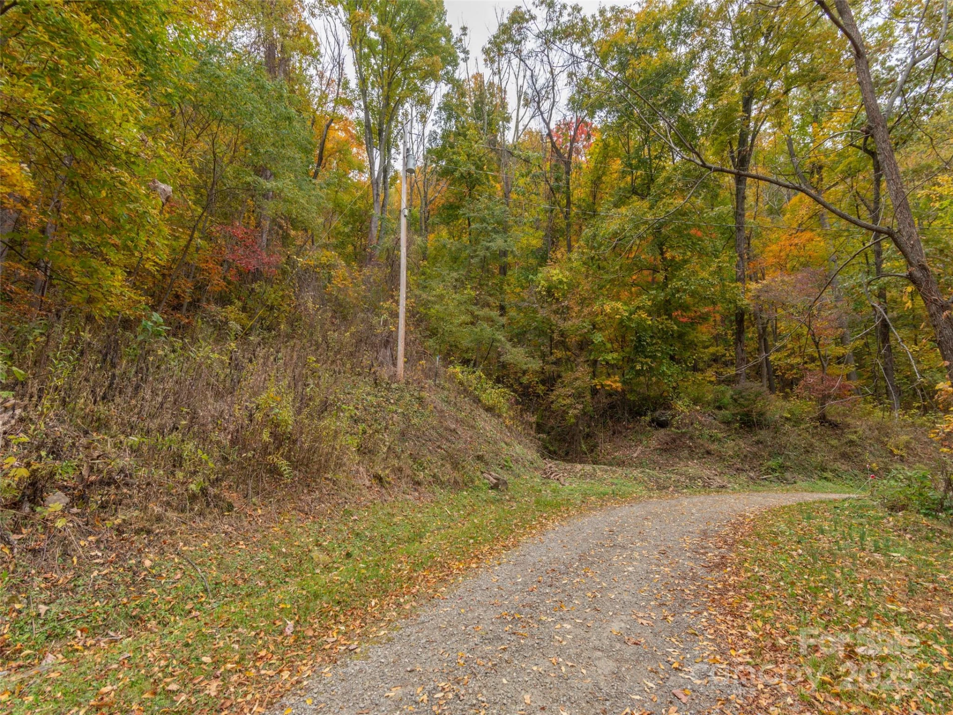 000 Sleepy Hollow Lane #14 - Photo 3