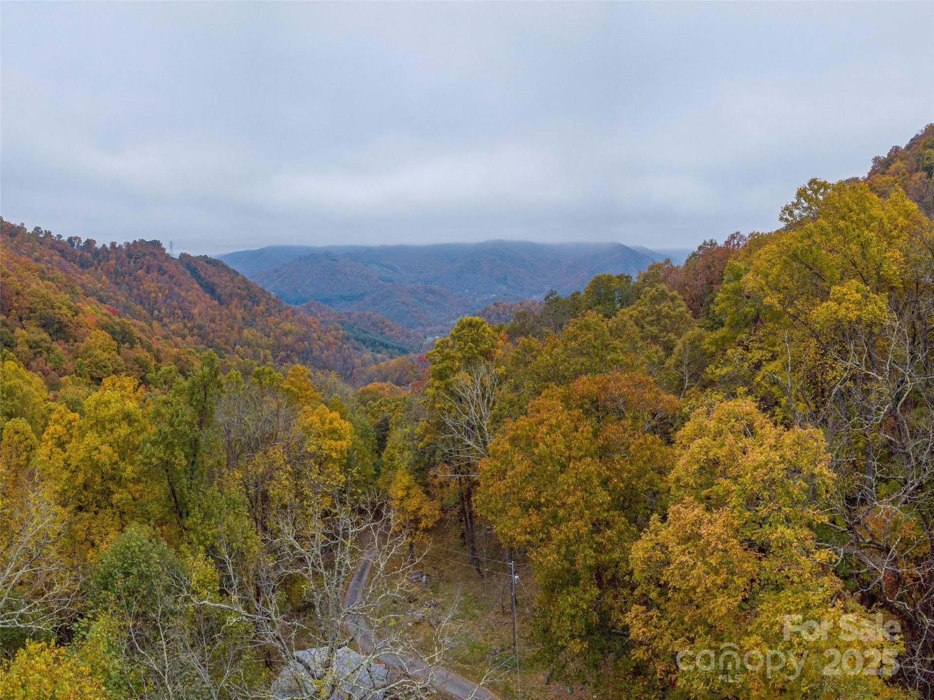 000 Sleepy Hollow Lane #14 - Photo 4