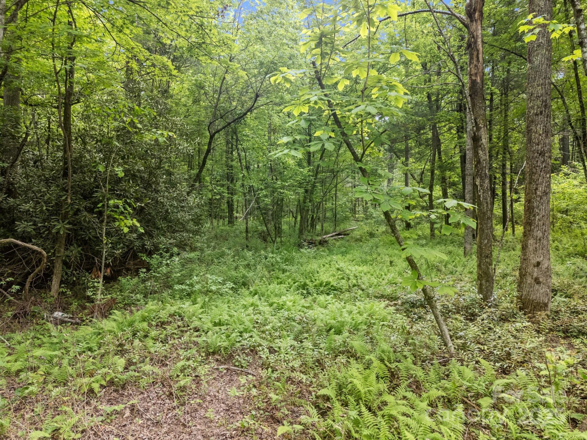 000 Red Fox Lane #17 - Photo 11