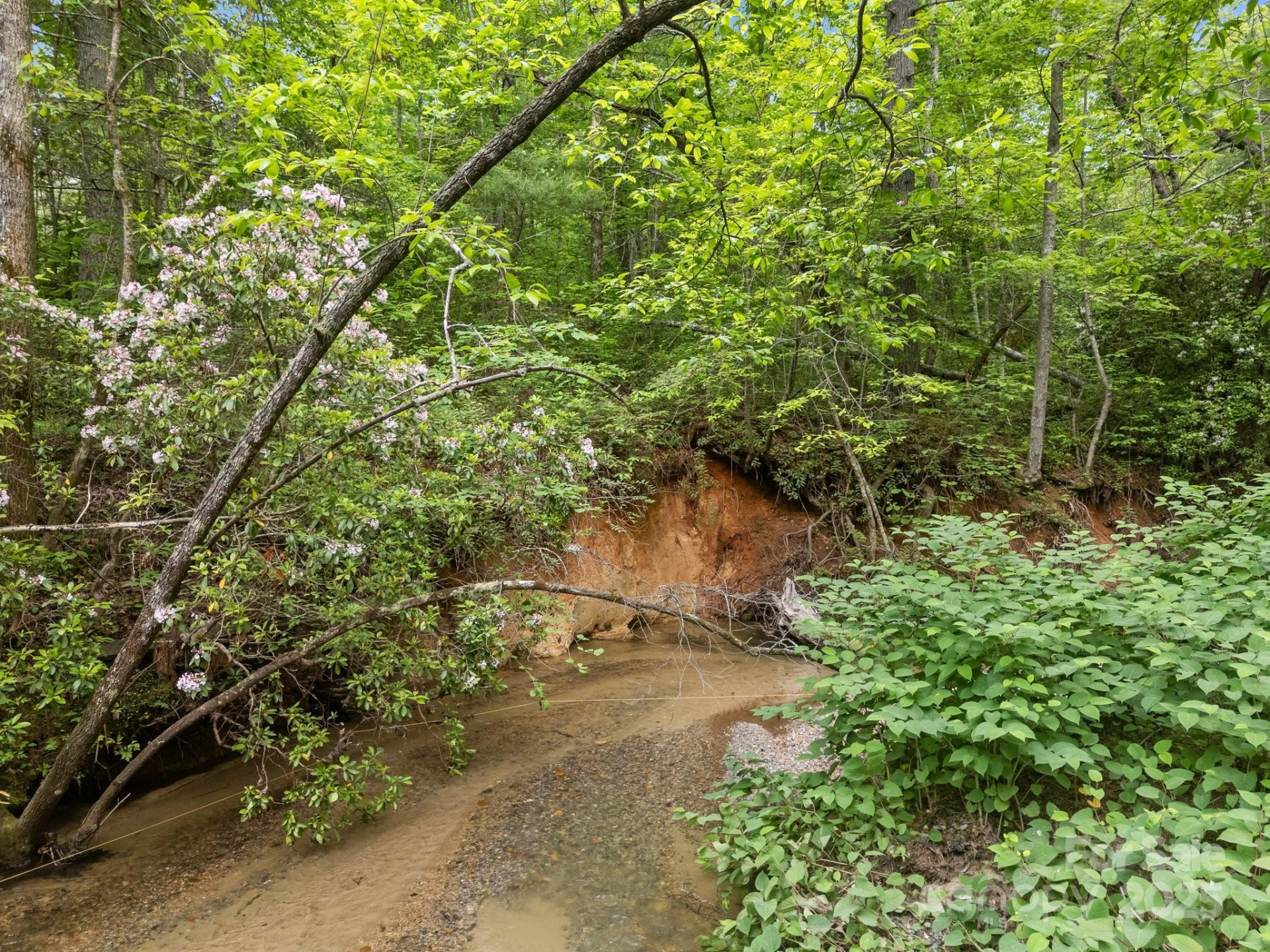 000 Red Fox Lane #17 - Photo 12