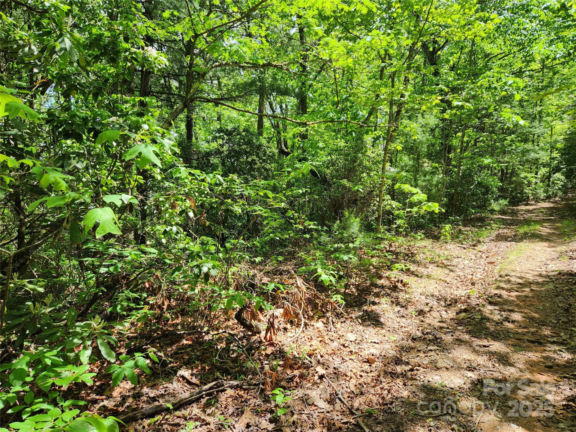 000 Boone Top None - Photo 2