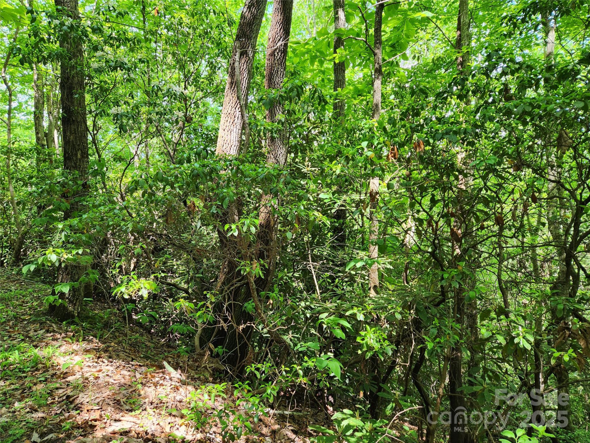 000 Boone Top None - Photo 11