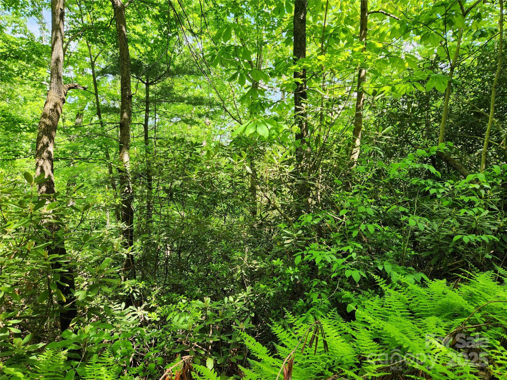 000 Boone Top None - Photo 12