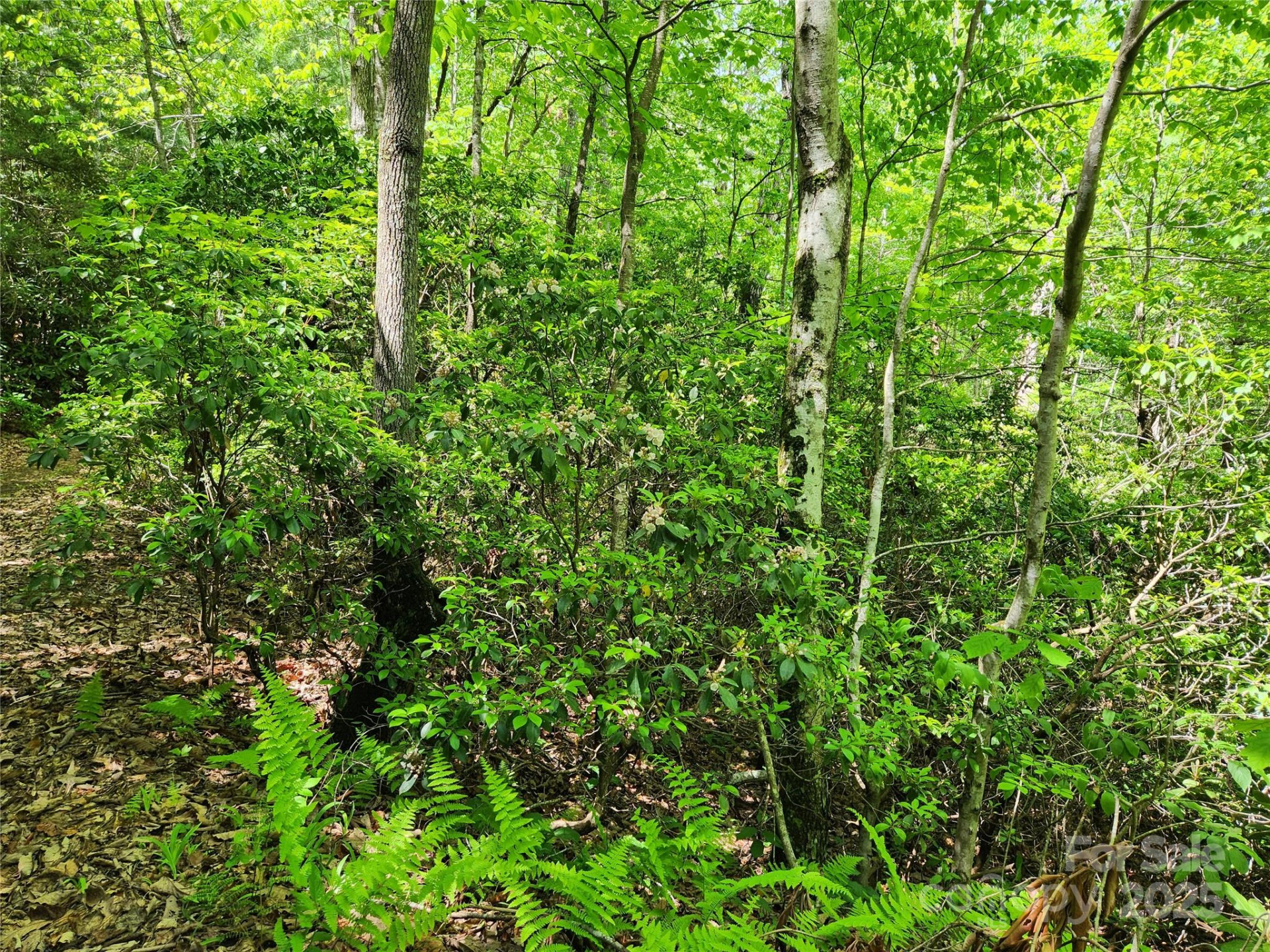 000 Boone Top None - Photo 13