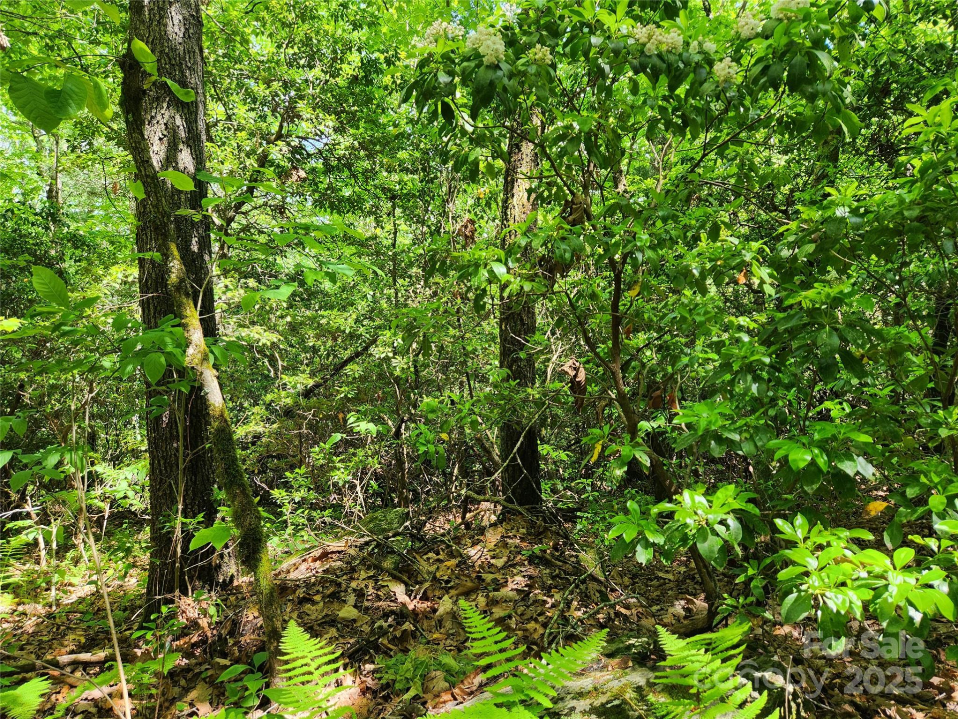 000 Boone Top None - Photo 15