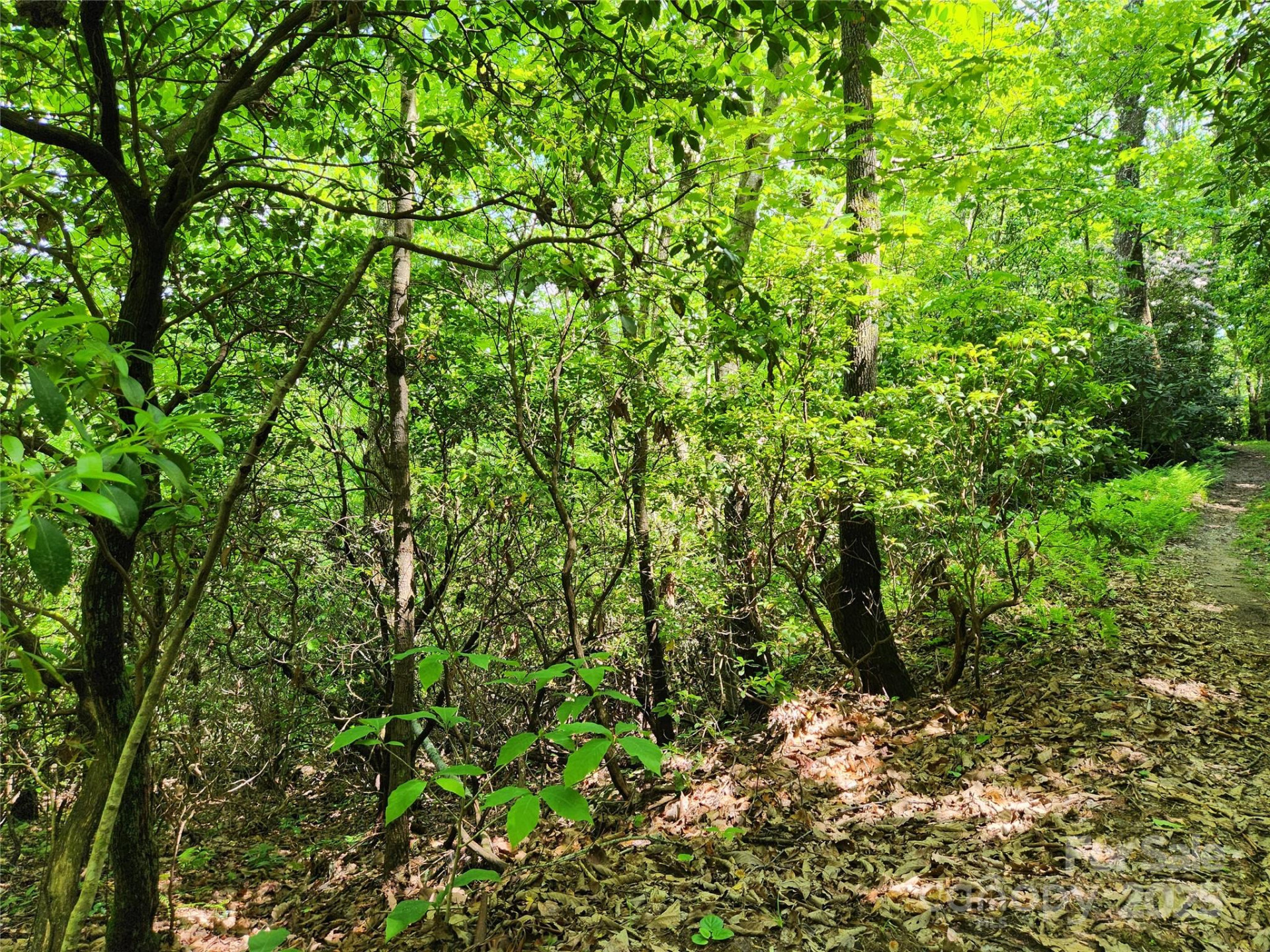 000 Boone Top None - Photo 16