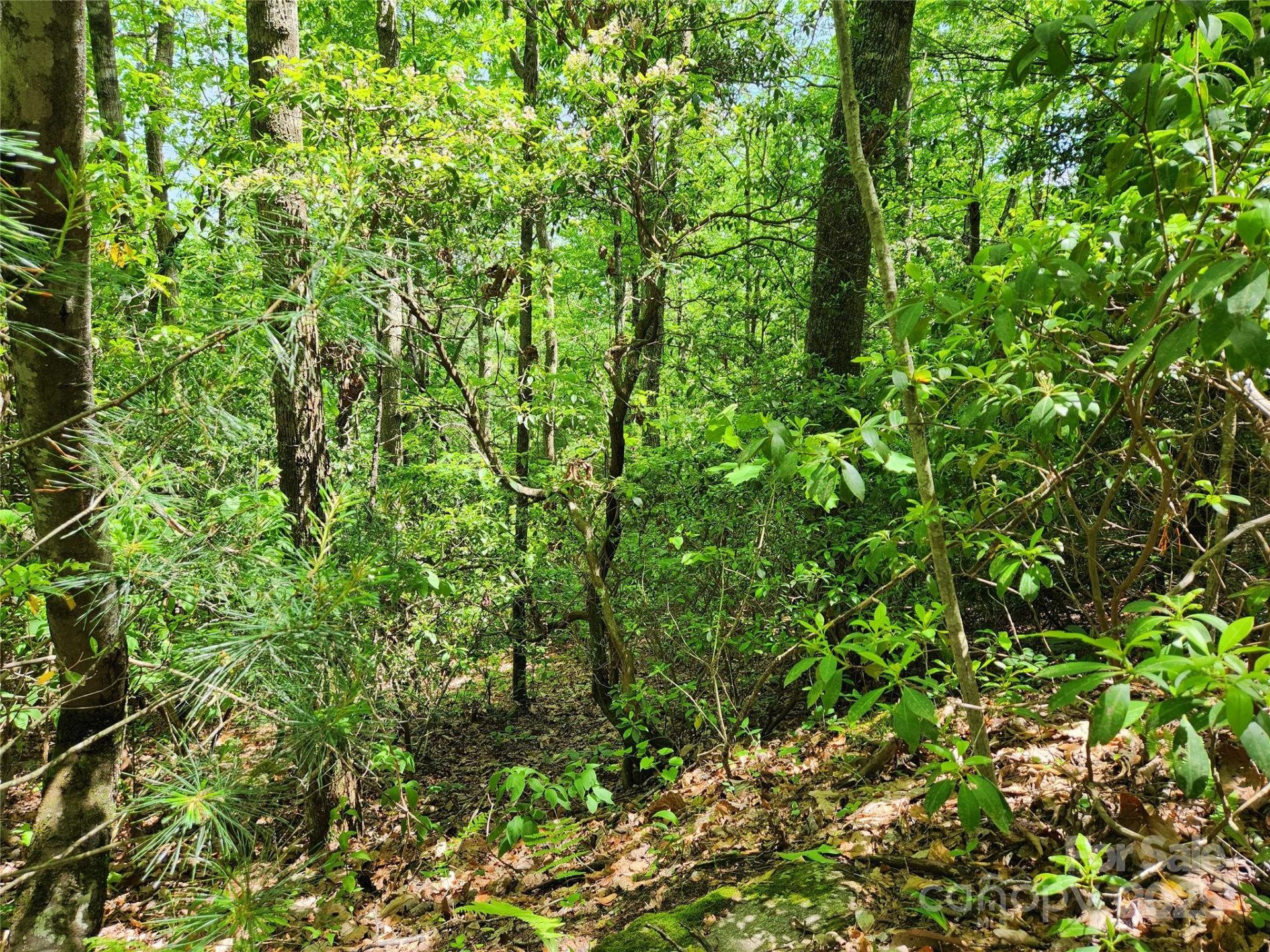 000 Boone Top None - Photo 5