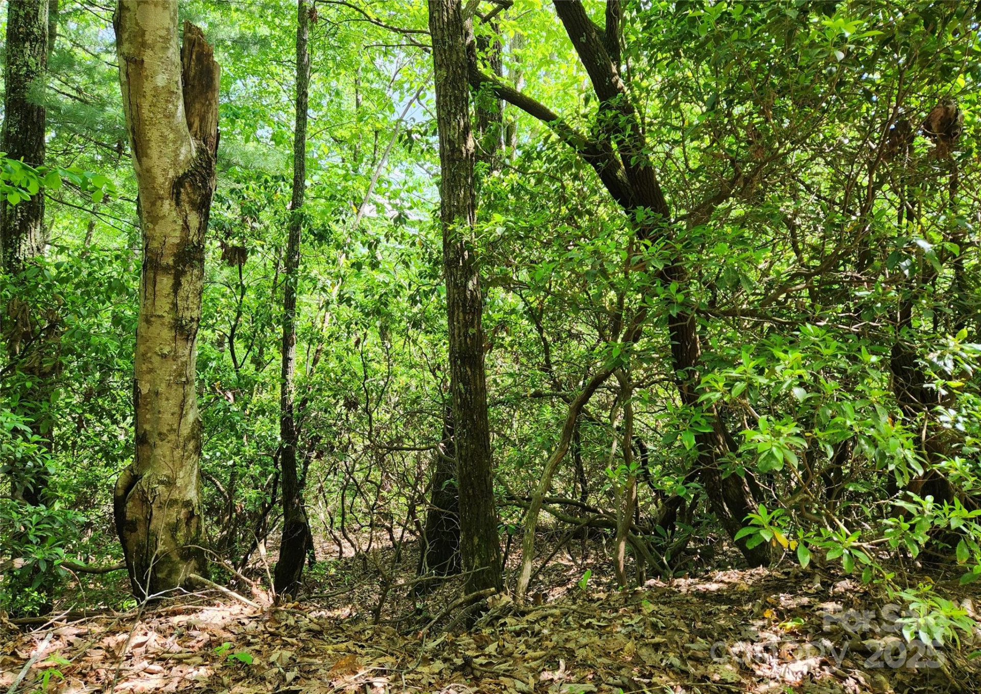 000 Boone Top None - Photo 7