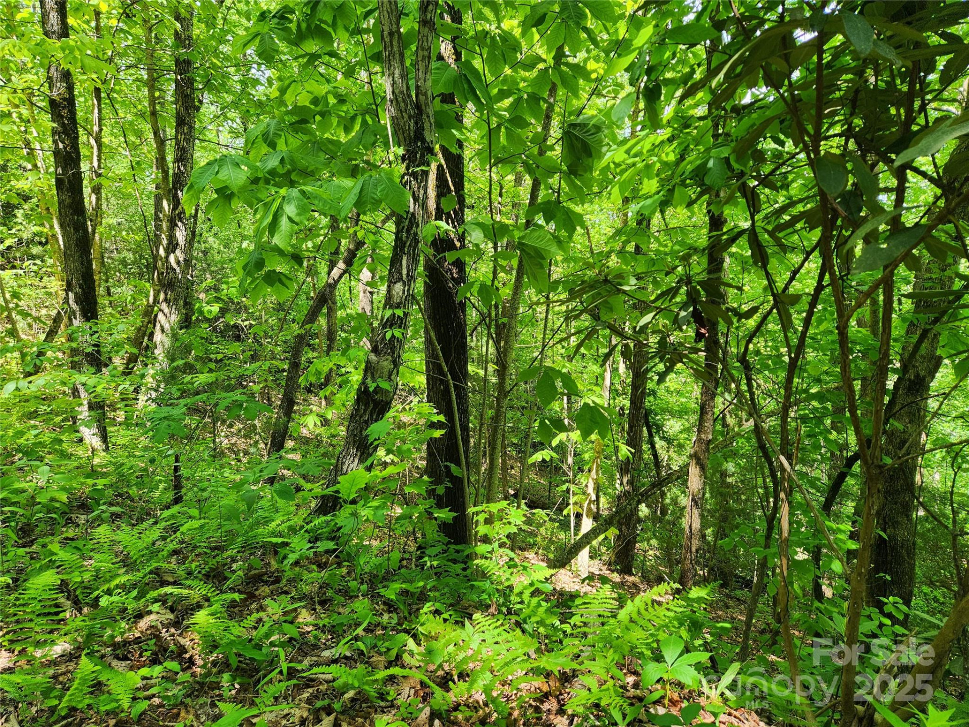 000 Boone Top None - Photo 8