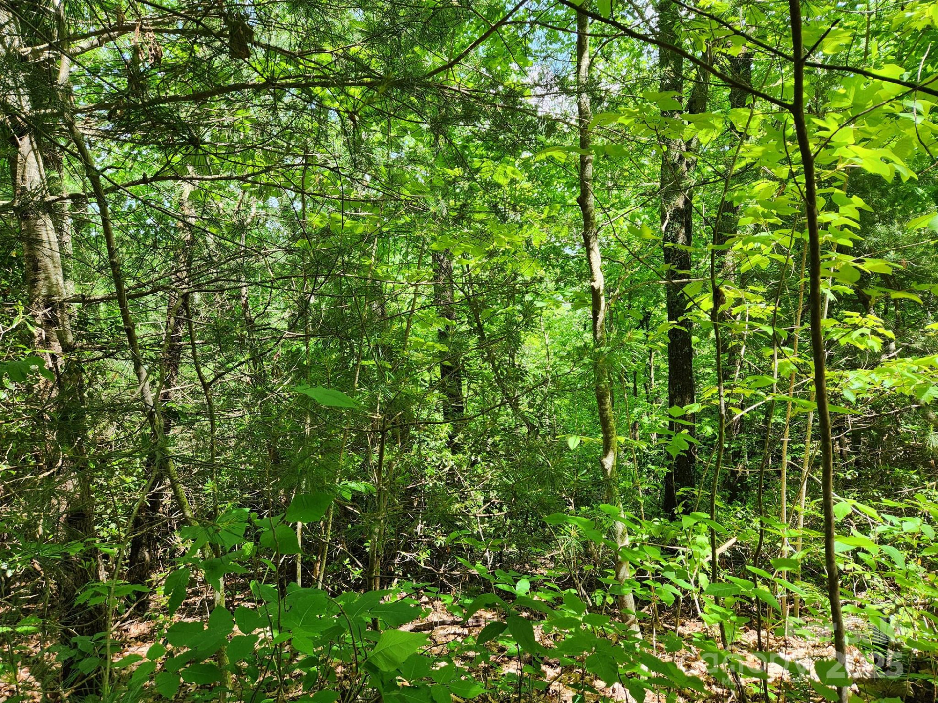 000 Boone Top None - Photo 9