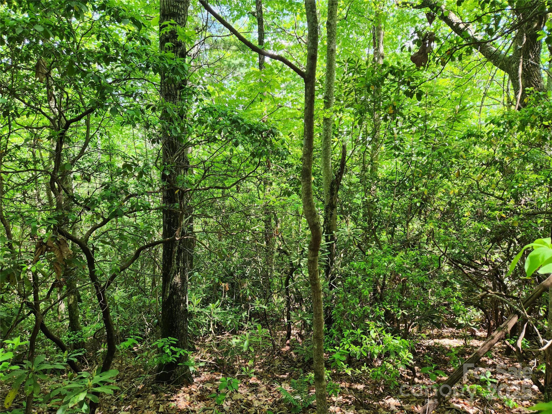 000 Boone Top None - Photo 10