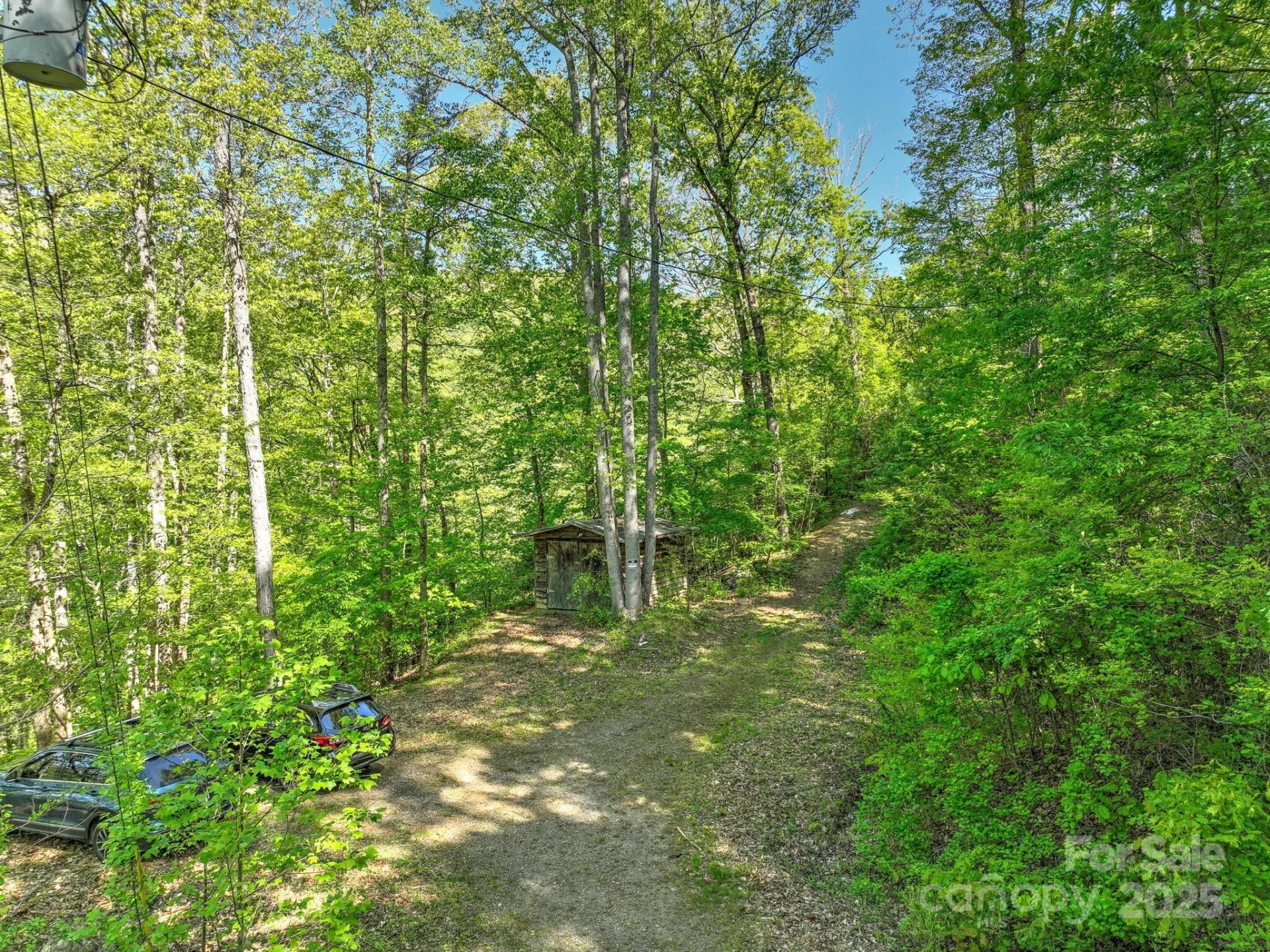 99999 Bull Creek Road - Photo 3