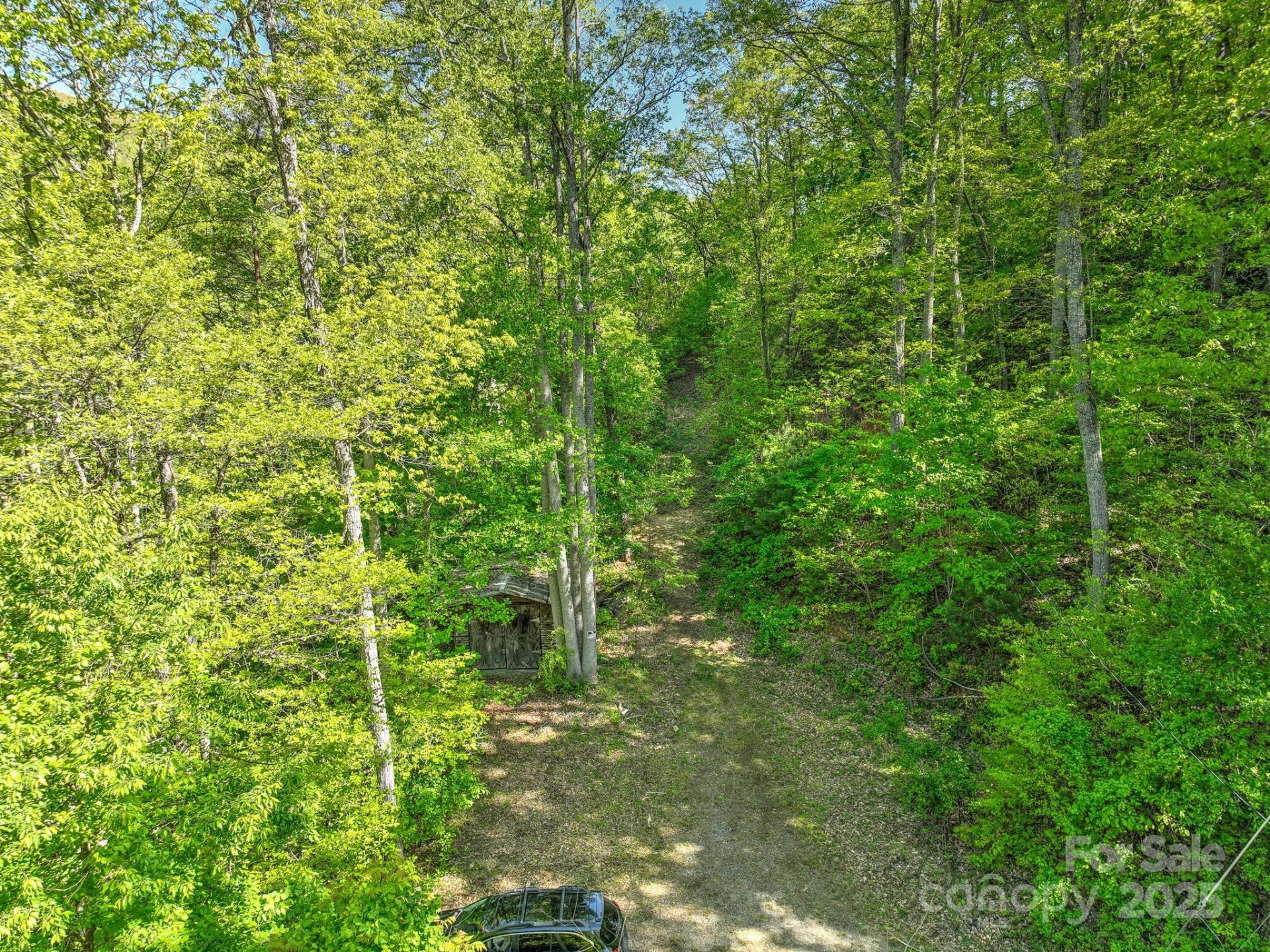 99999 Bull Creek Road - Photo 4