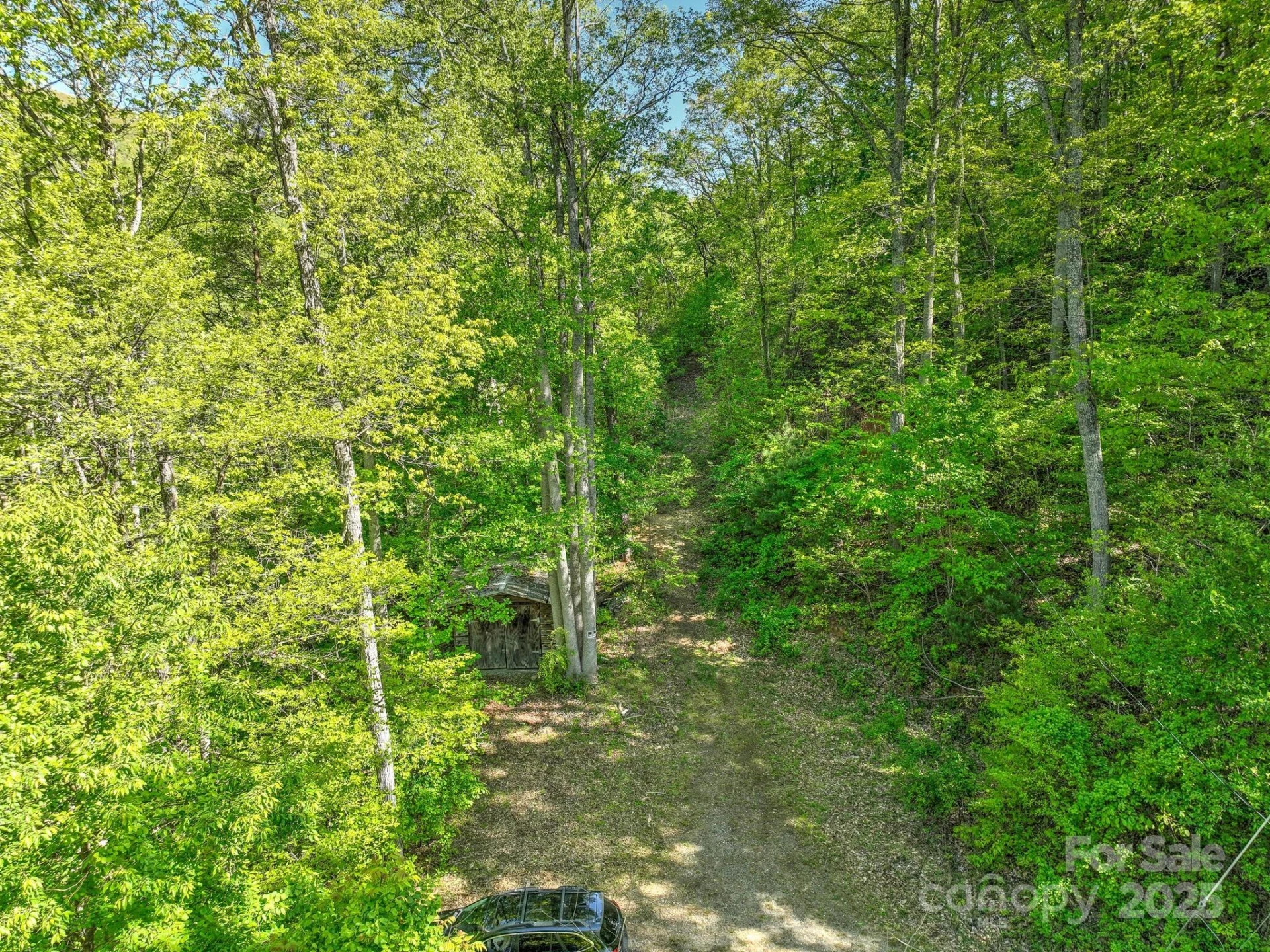 99999 Bull Creek Road - Photo 4