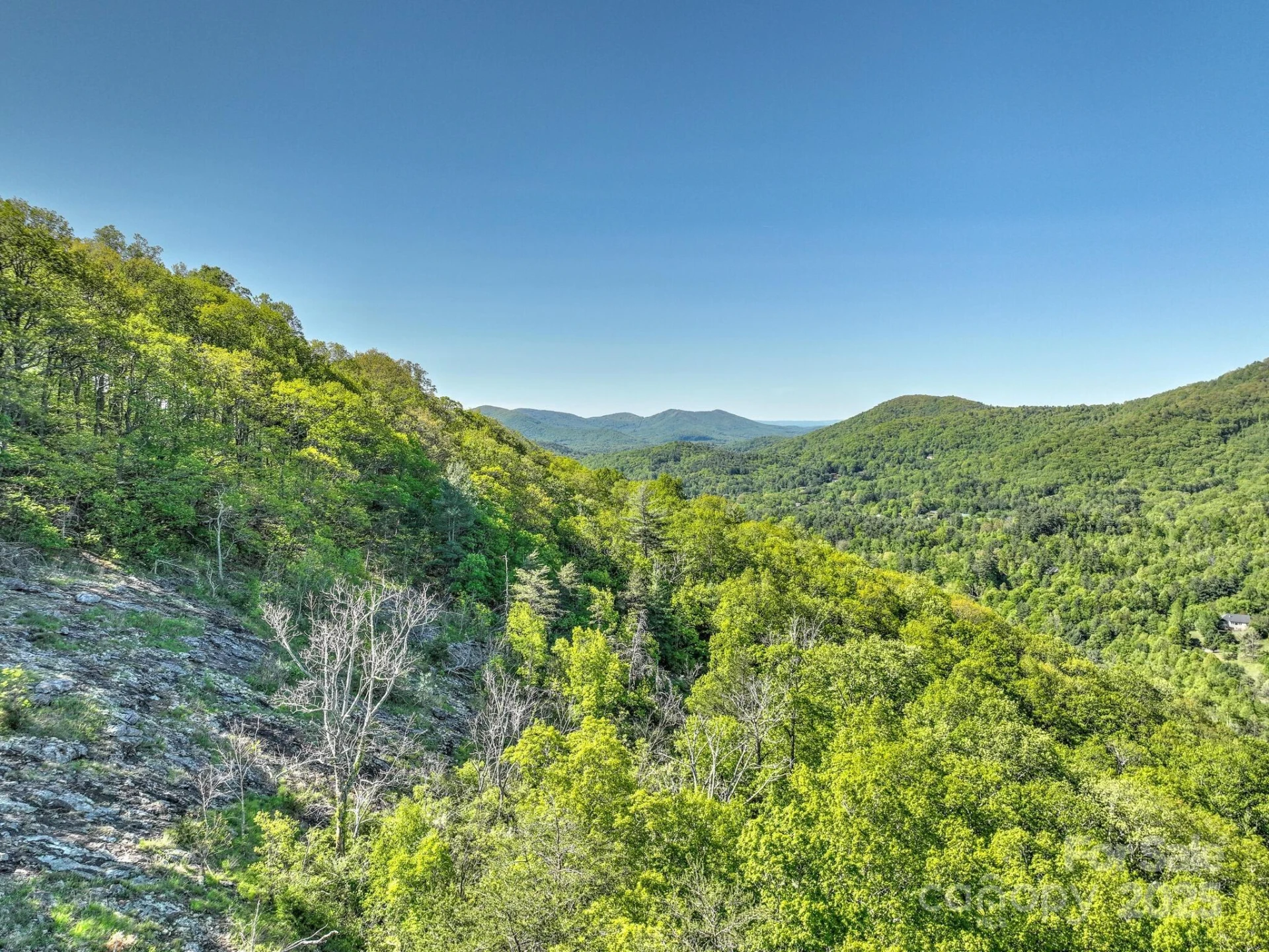 99999 Bull Creek Road - Photo 5