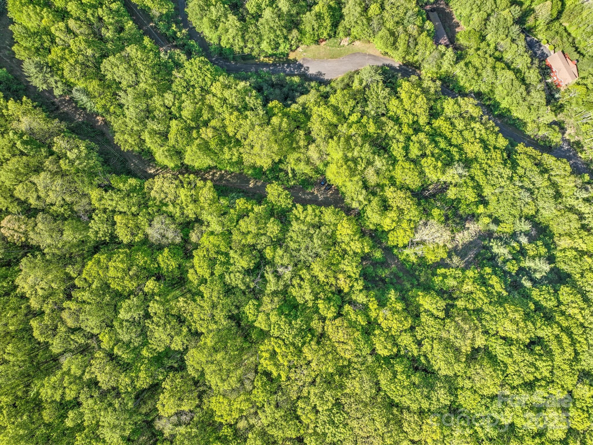 99999 Bull Creek Road - Photo 6