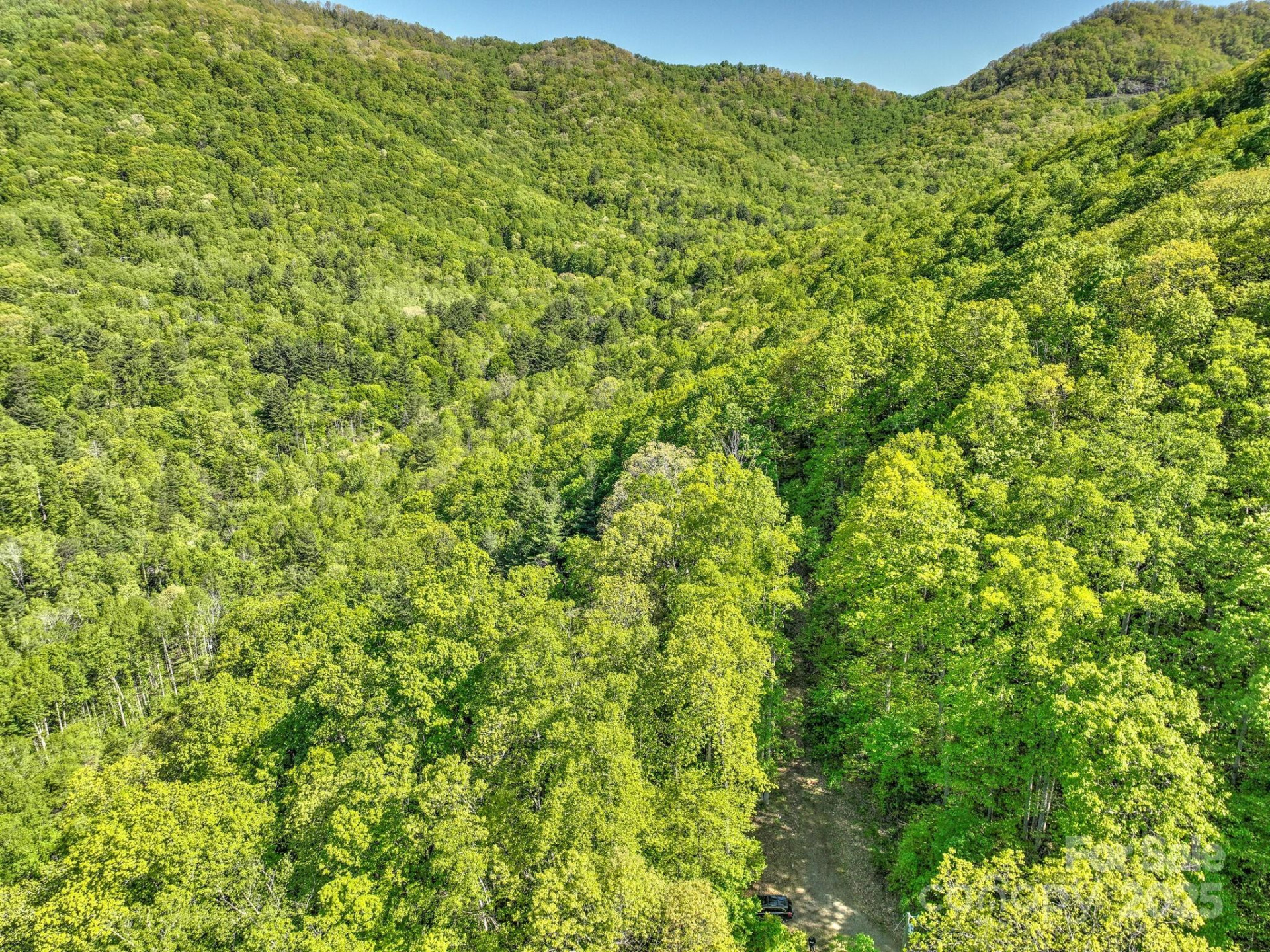 99999 Bull Creek Road - Photo 8