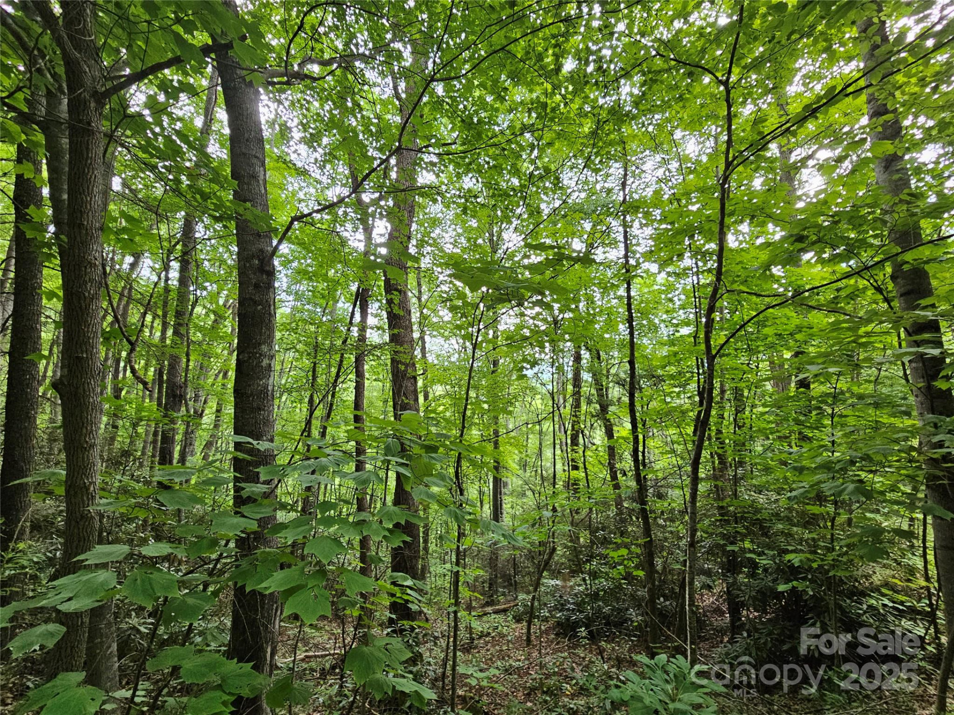 00 Autumn Drive #2 - Photo 2