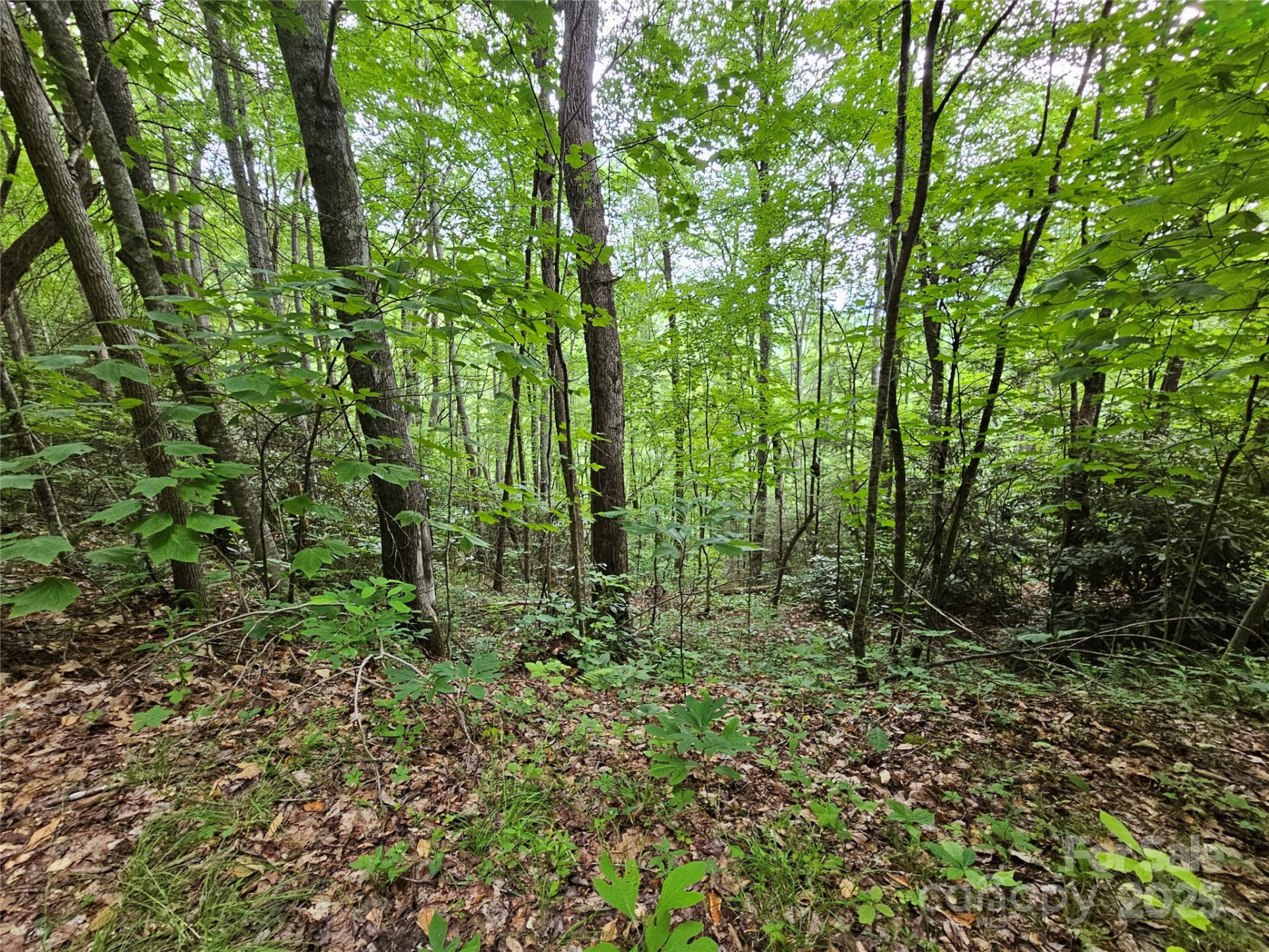 00 Autumn Drive #2 - Photo 3