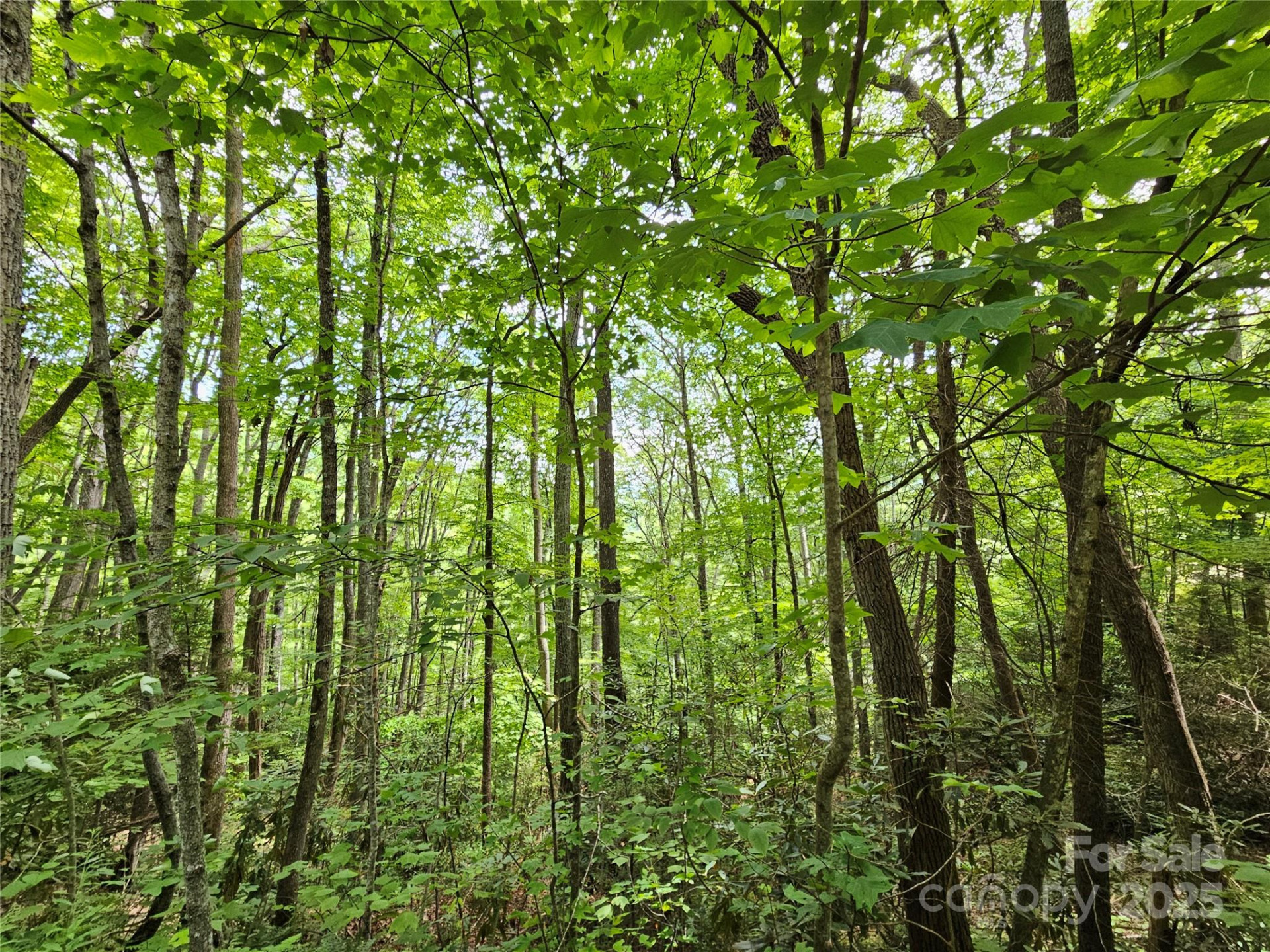 00 Autumn Drive #2 - Photo 4