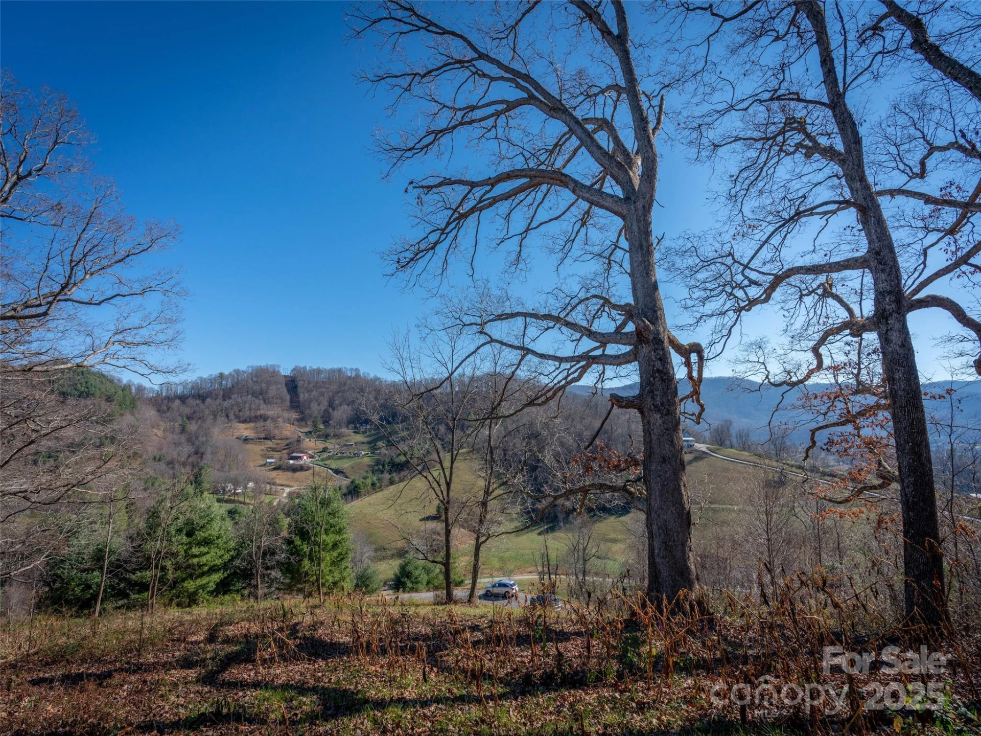 00 Aster Ridge Drive #10 - Photo 12