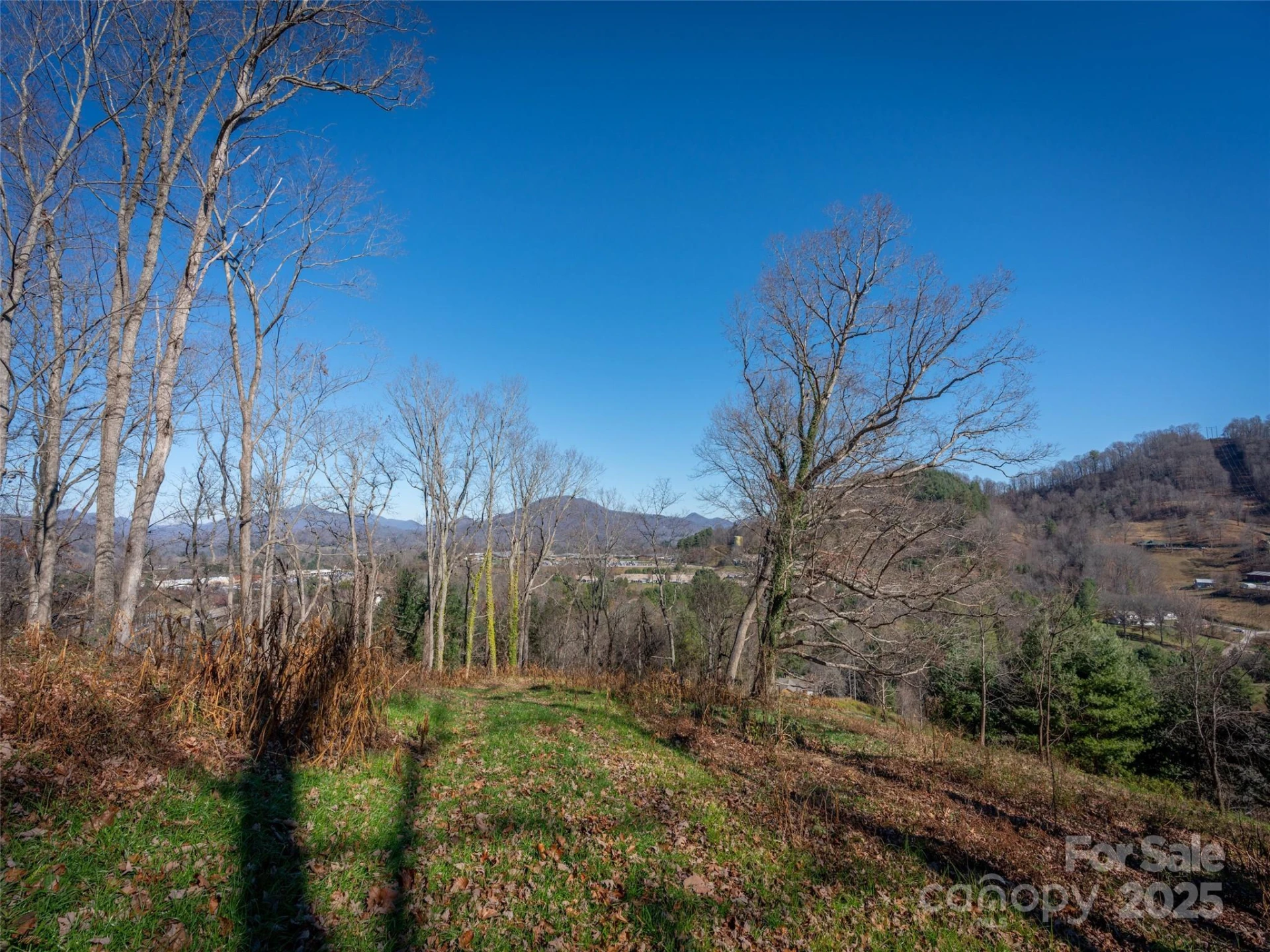 00 Aster Ridge Drive #10 - Photo 13